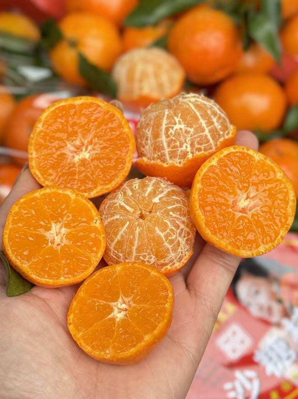 🍊【金秋砂糖桔】家家必备‼️ 吃一口，甜 配图2