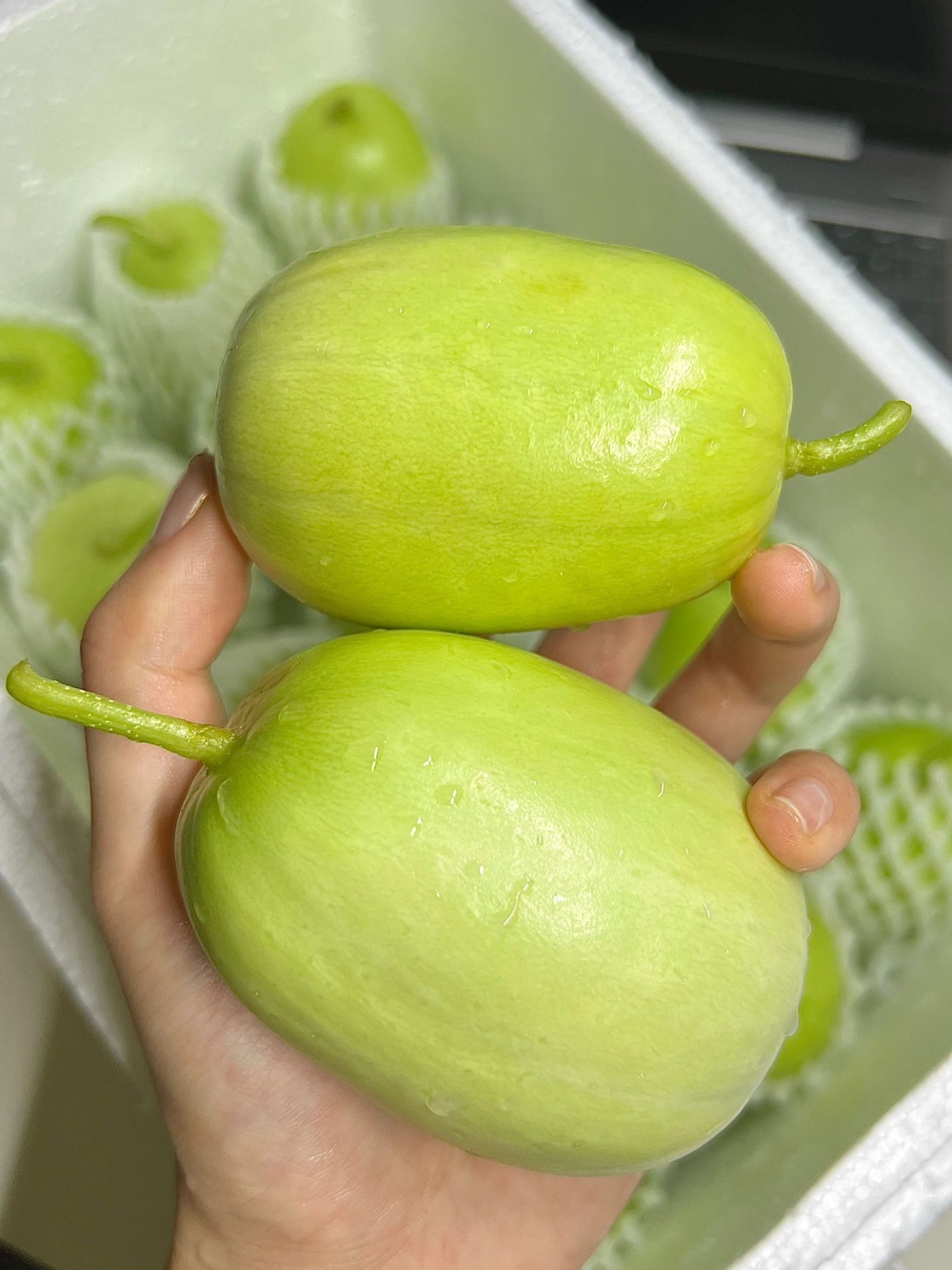 玉女黄瓜🍃可爱胖墩墩的椭圆形🥒 因为品种 配图3
