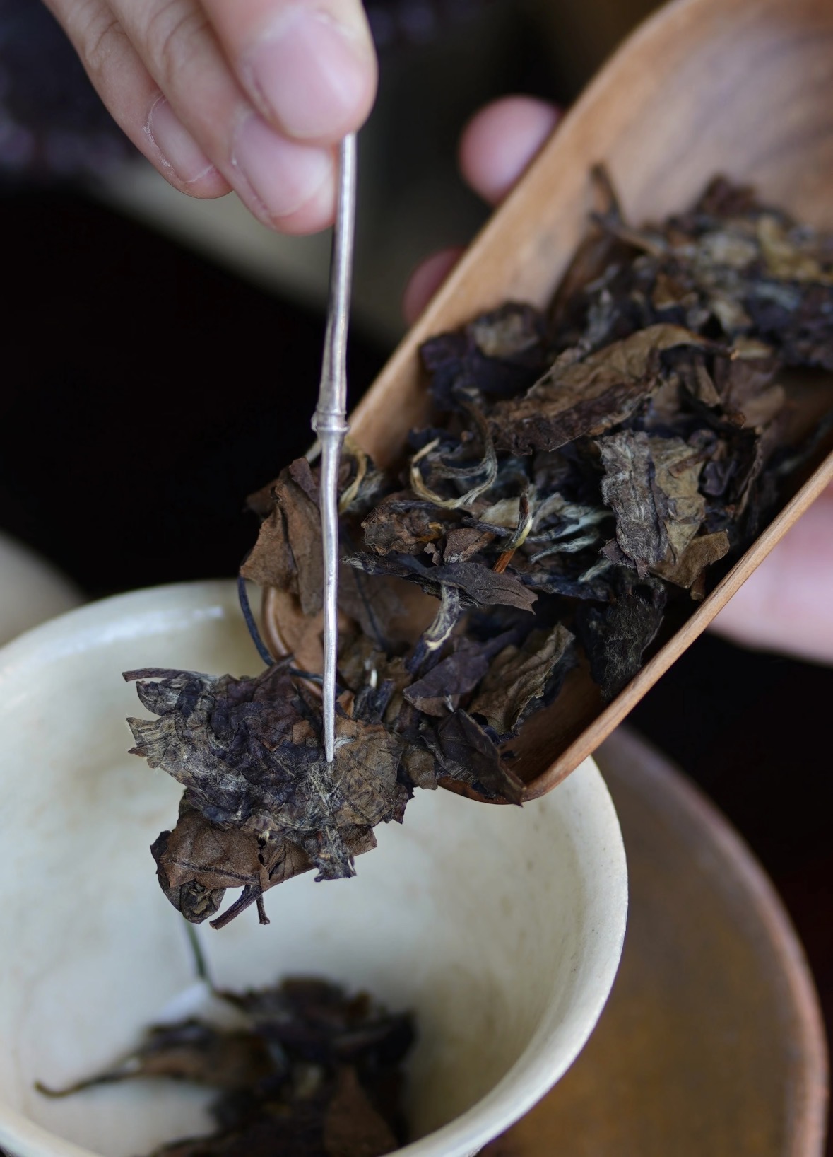 春饮茶，夏乘凉，秋赏月，冬藏香。一杯福鼎 配图1