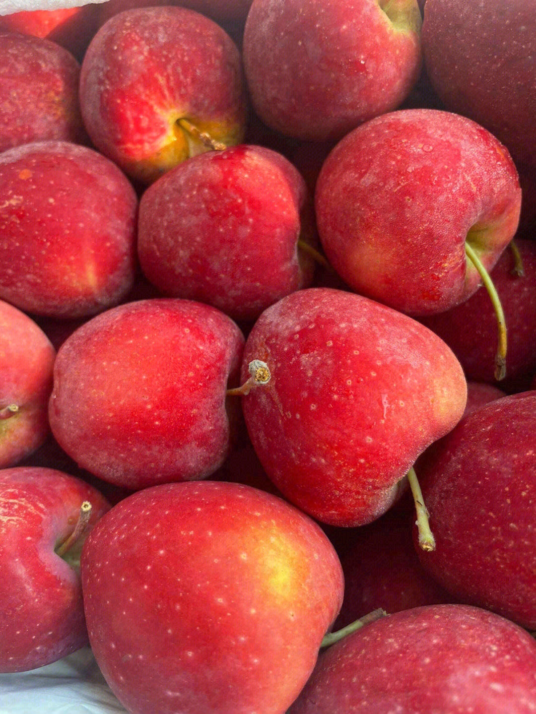 鸡心果🍎特别圈粉小朋友😍 家里的小孩子， 配图1