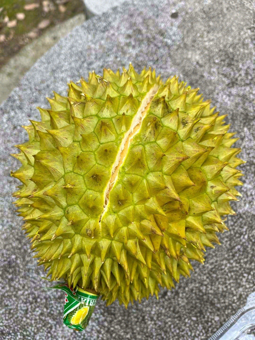 🍃古时皇室贡品榴莲，现仍自带贵族气质🔱  配图2
