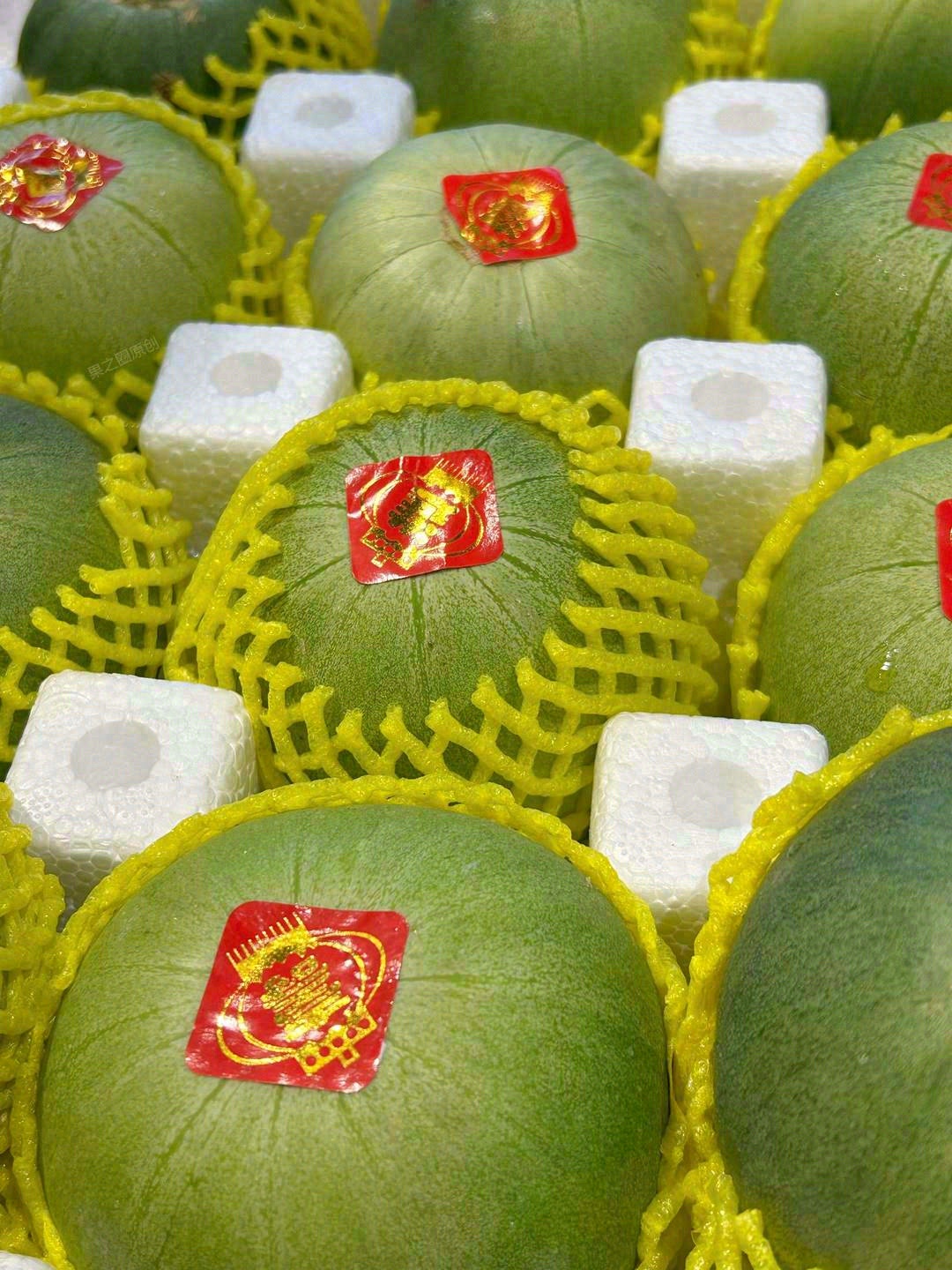 精品绿宝甜瓜，推荐：⭐⭐⭐⭐⭐～ 她犹如 配图1