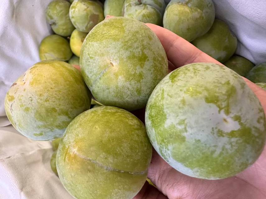 🔥每年夏天一定要吃的蜂糖李到货啦‼️ 一 配图1