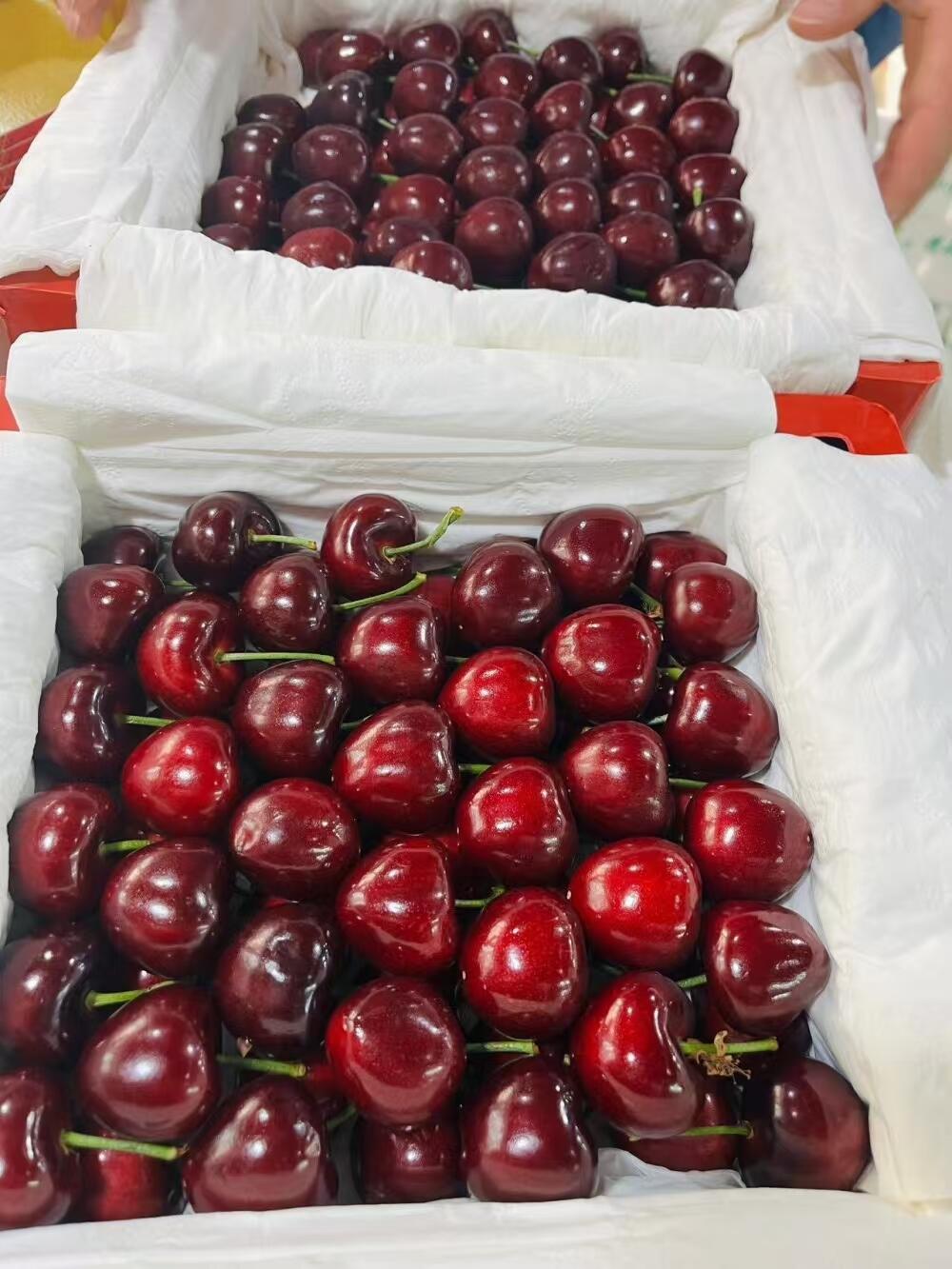 这个樱桃谁懂啊！！！🍒有的路，你必须自己 配图3