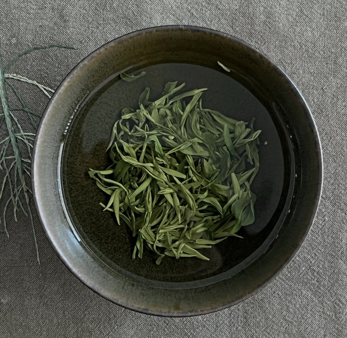 三月春茶季｜莫干黄芽限量发售 高山云雾茶 配图1