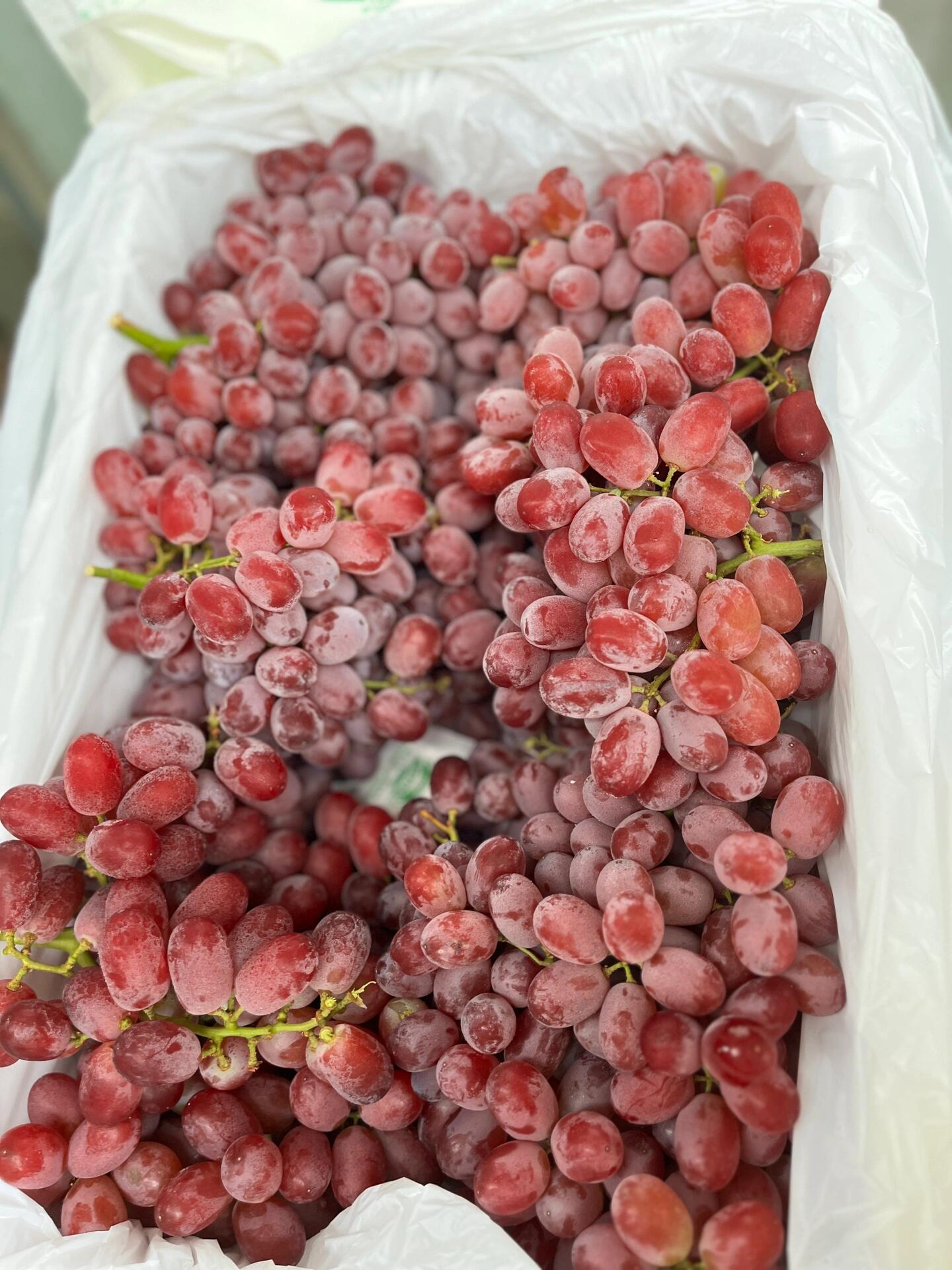 无籽红提🍇 满满夏天的颜色和香气❗❗ 红 配图3