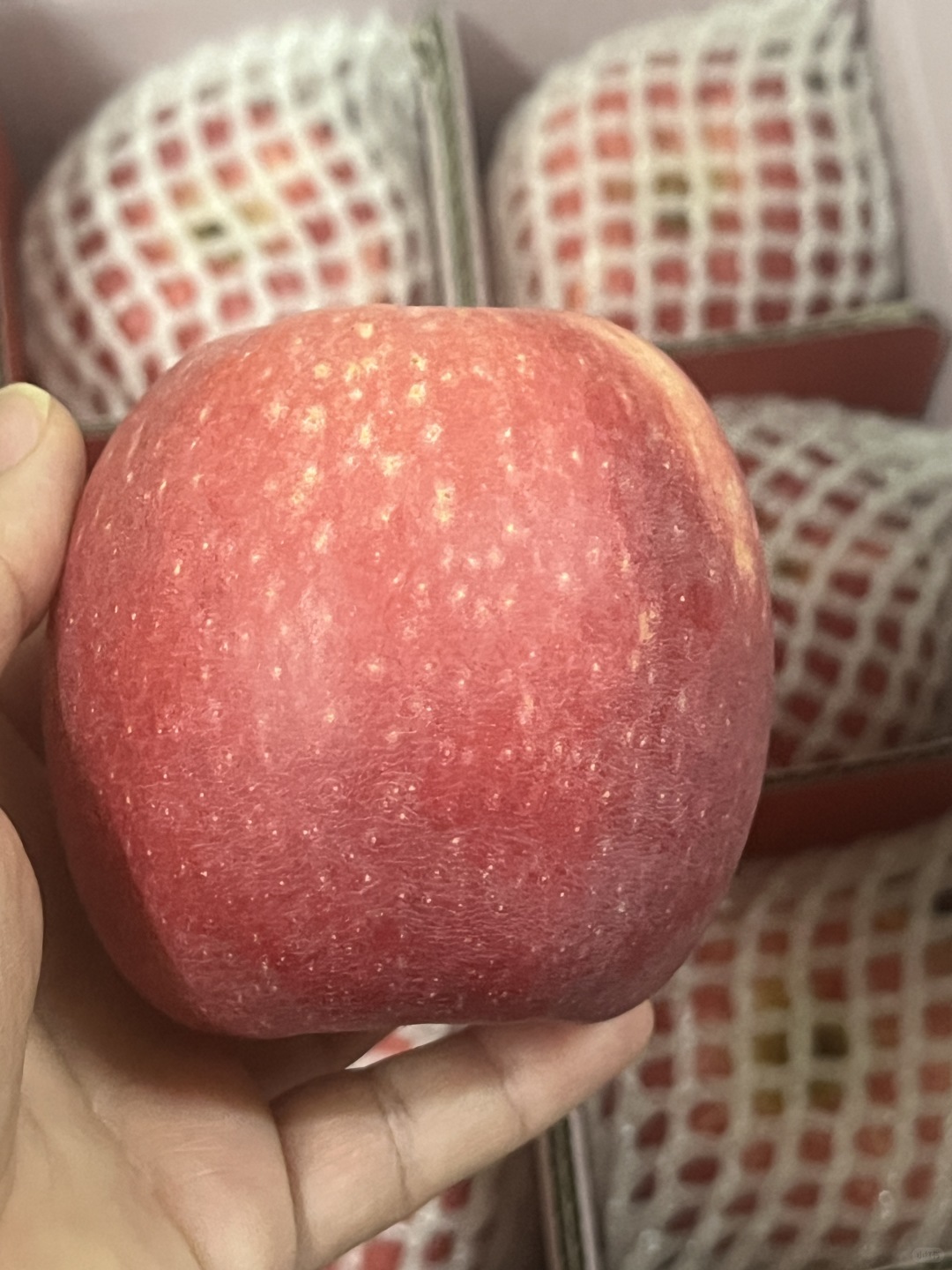 📅新年新愿望：• 健康快乐🌟• 事业有成 配图1