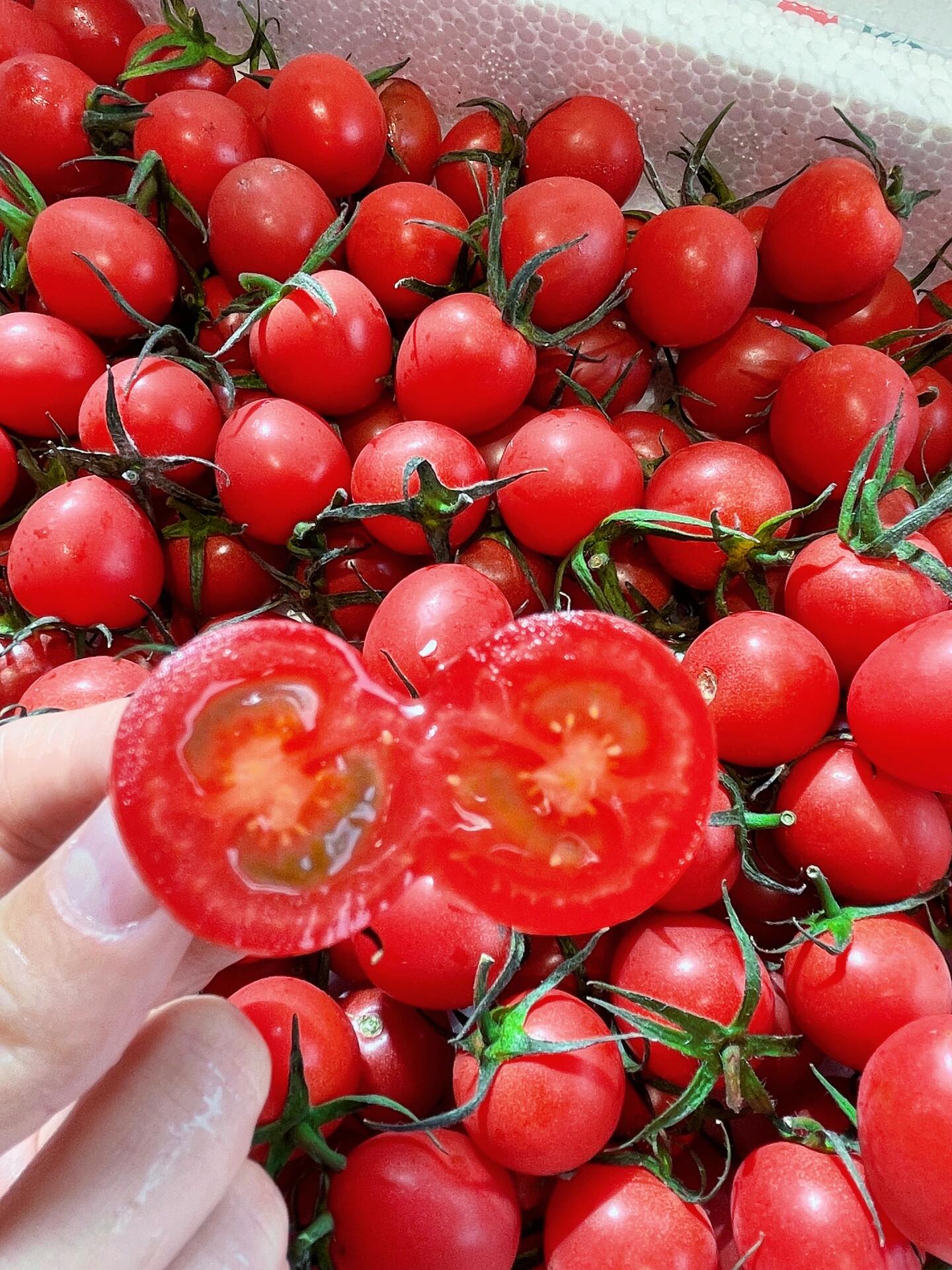 千禧🌿小番茄🍅 爆浆快感，吃过都称赞哦~ 配图1