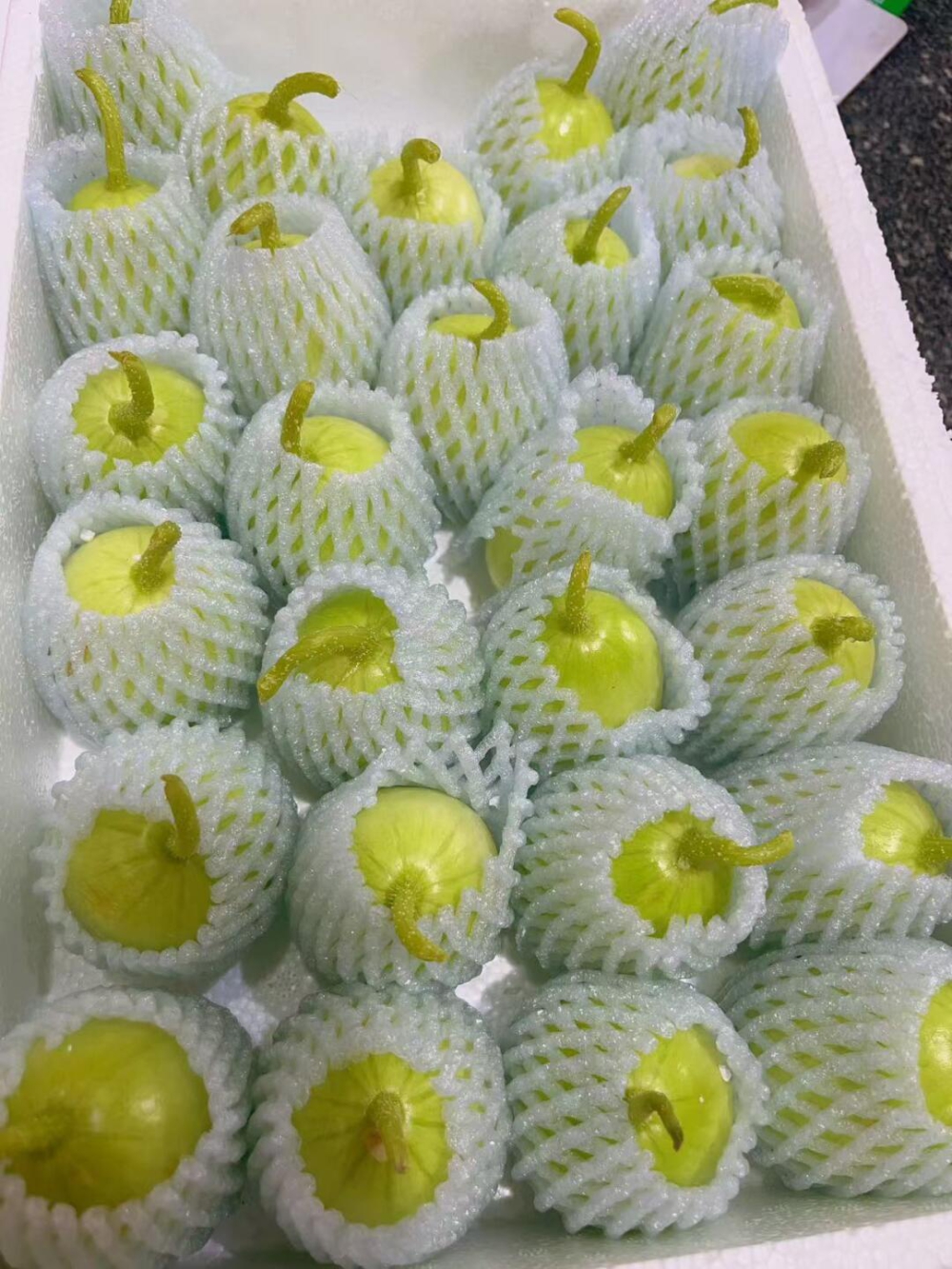 🍃🍃清新脱俗的玉女黄瓜🥒矮矮胖胖的很可爱 配图3