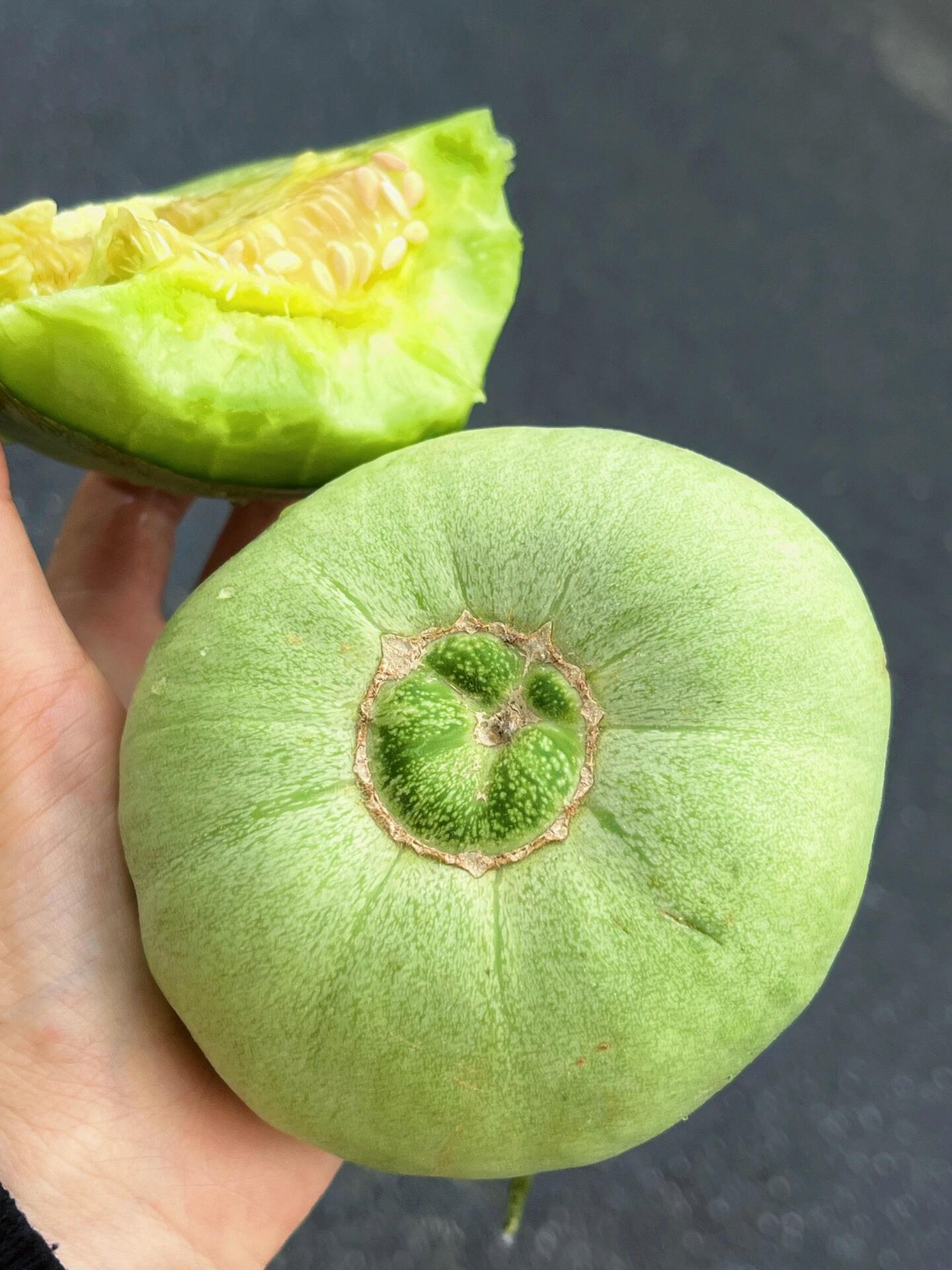 “弱水三千只取一瓢， 🍈万千甜瓜只想选它 配图2