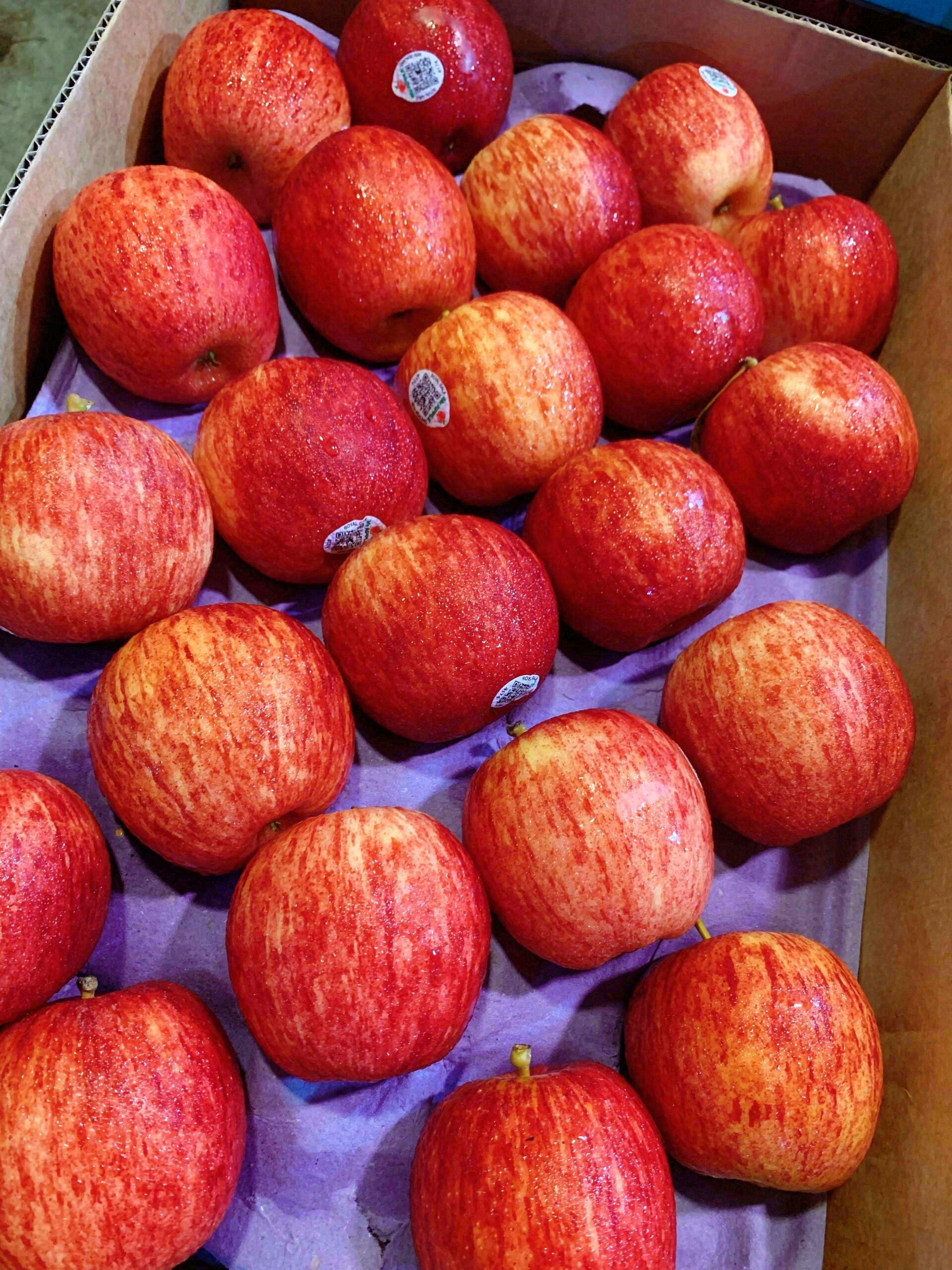 再忙也抽一点时间吃颗苹果🍎，感受它的甜美 配图3