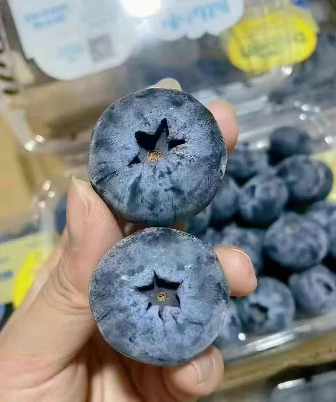 🫐怡颗莓蓝莓 蓝莓中的爱马仕来啦!!怡颗 配图1