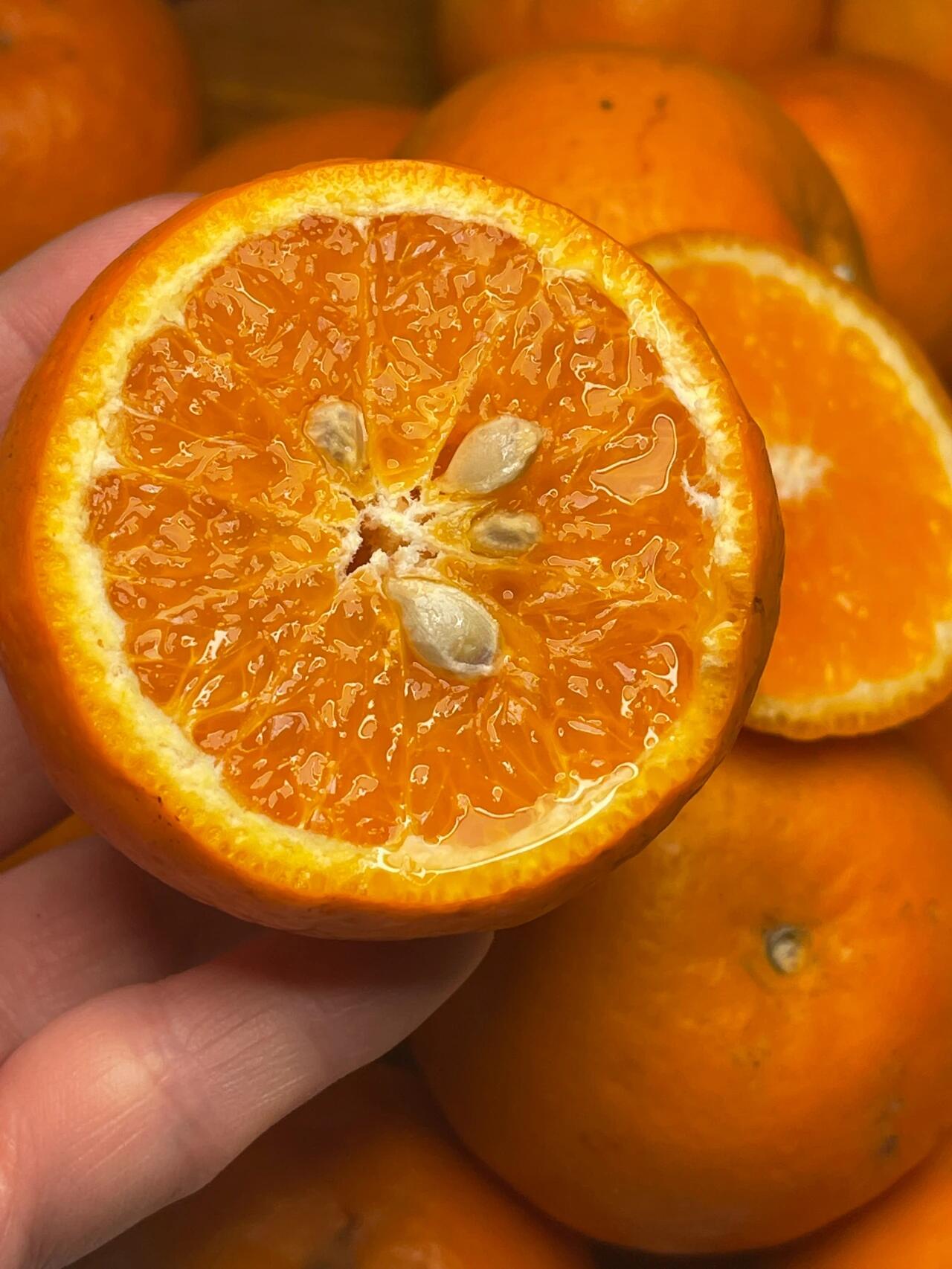 🍊 沃柑上市啦！🍊 果皮光滑好剥👌一撕就 配图2