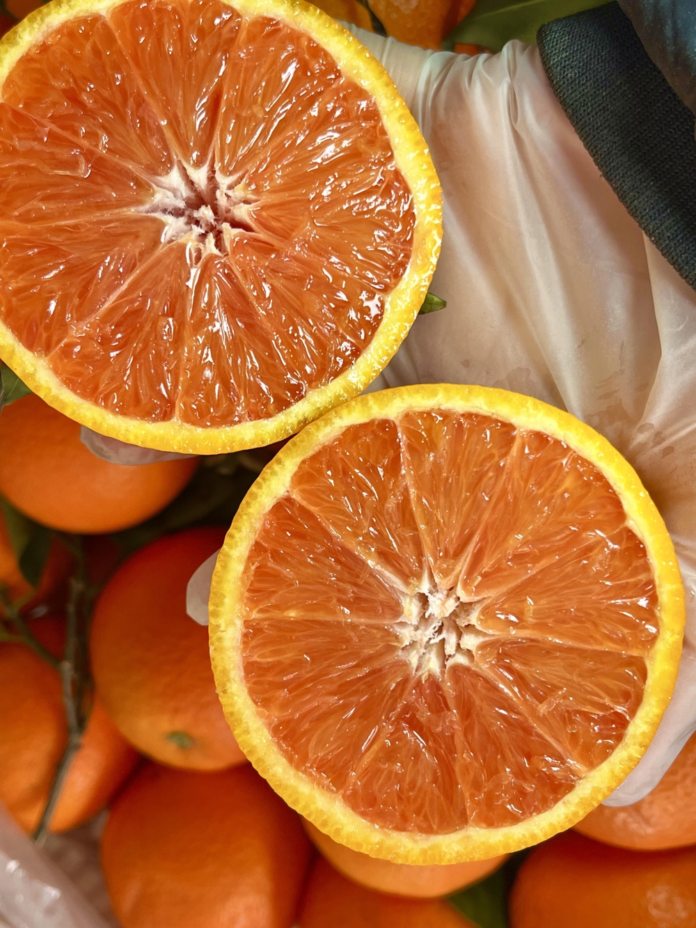 红橙🍊应季的鲜橙，好吃吖卡拉红橙🍊薄皮多 配图1