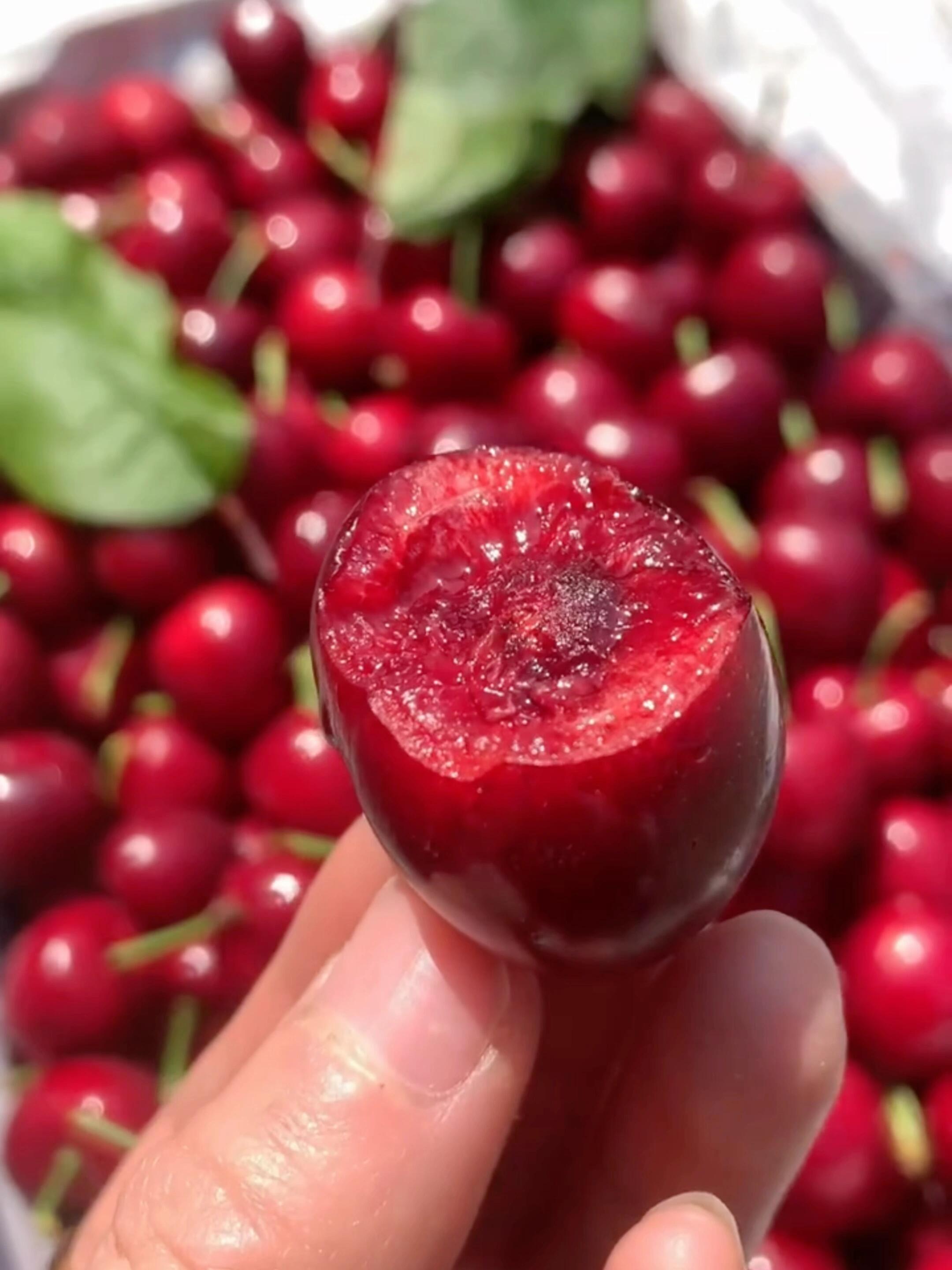 🍒 美早樱桃上市！🍒 紫红发亮像宝石～颗 配图1