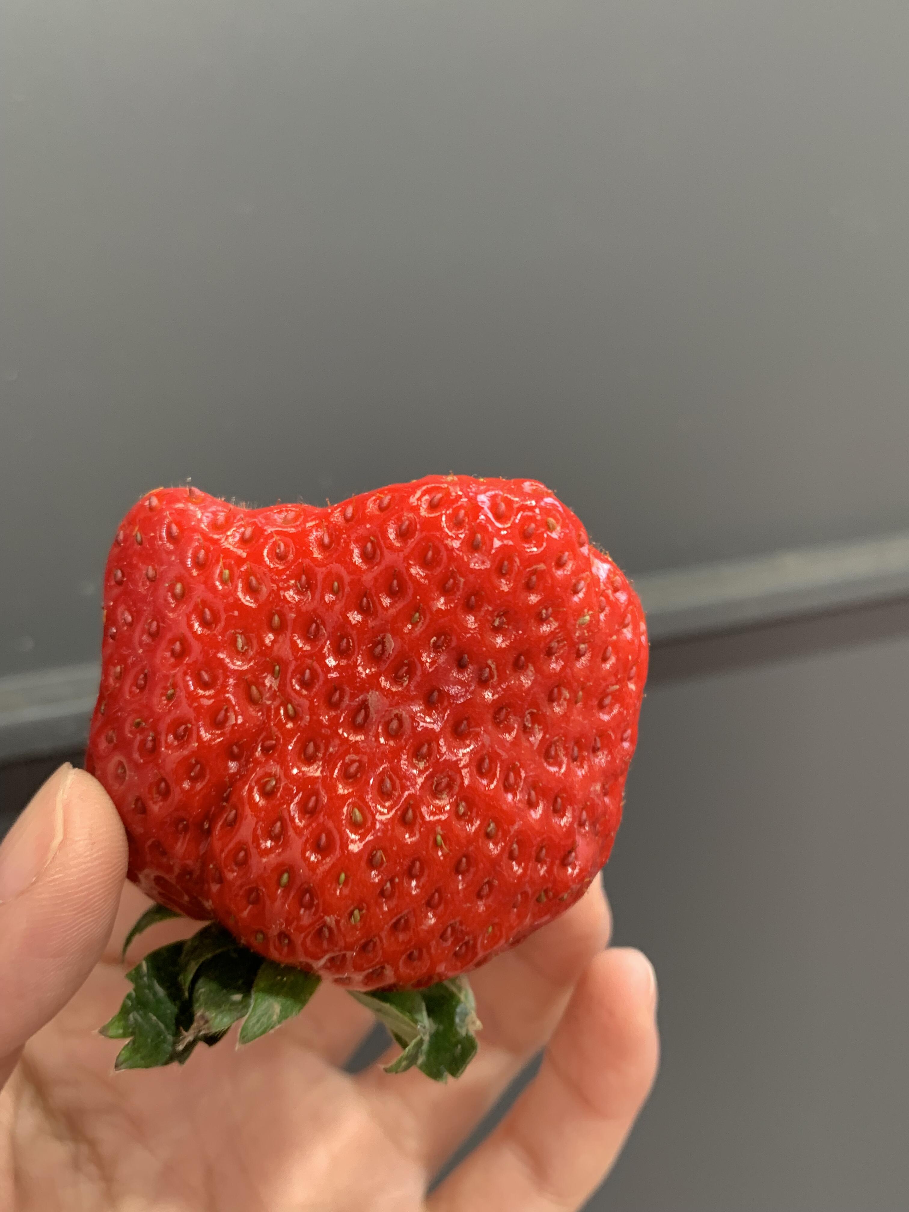 露天草莓超鲜甜🍓 个头不大，甜度高，草莓 配图1