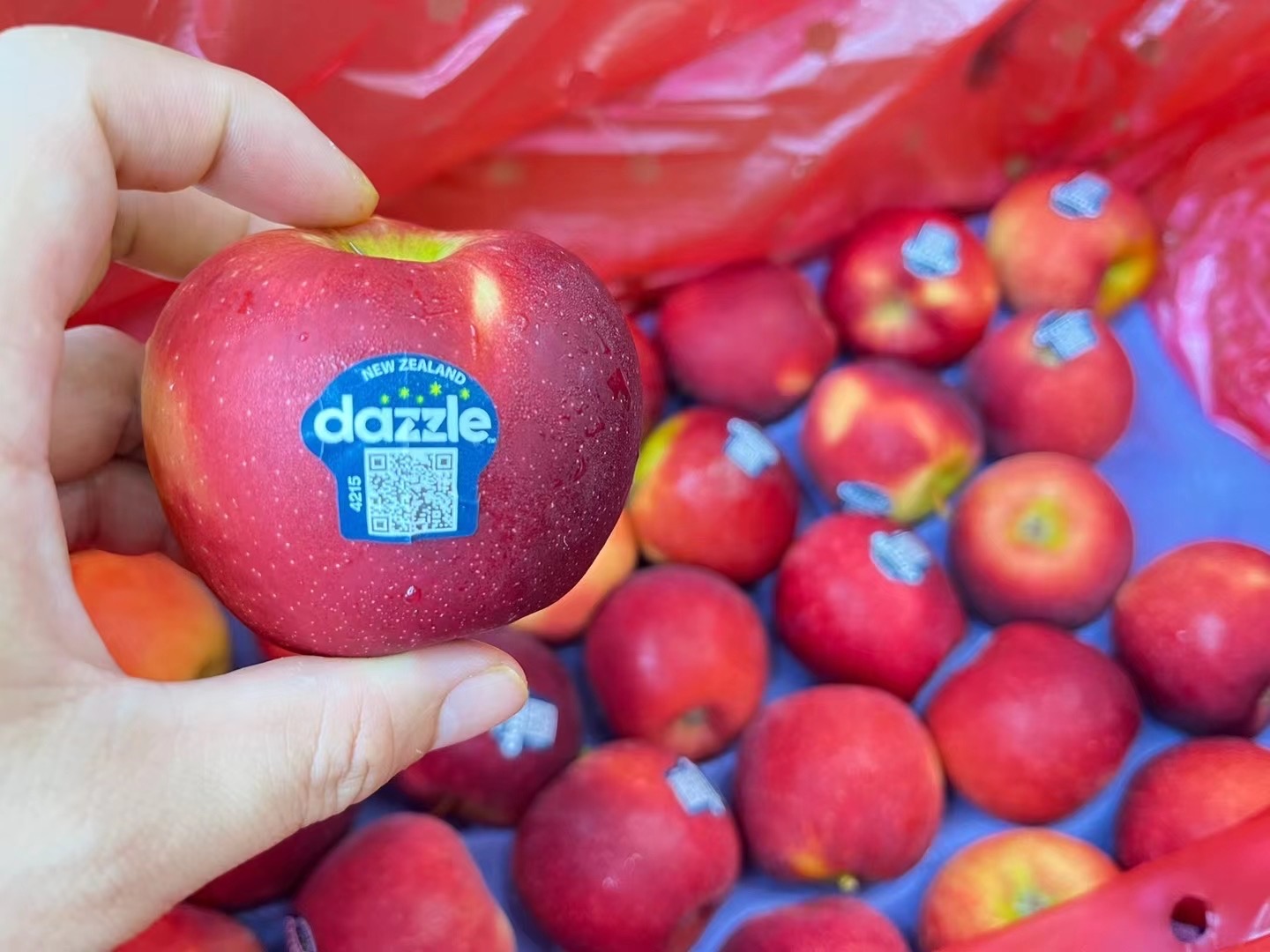 新西兰丹烁苹果🍎 有着浓郁的苹果味，脆脆 配图1