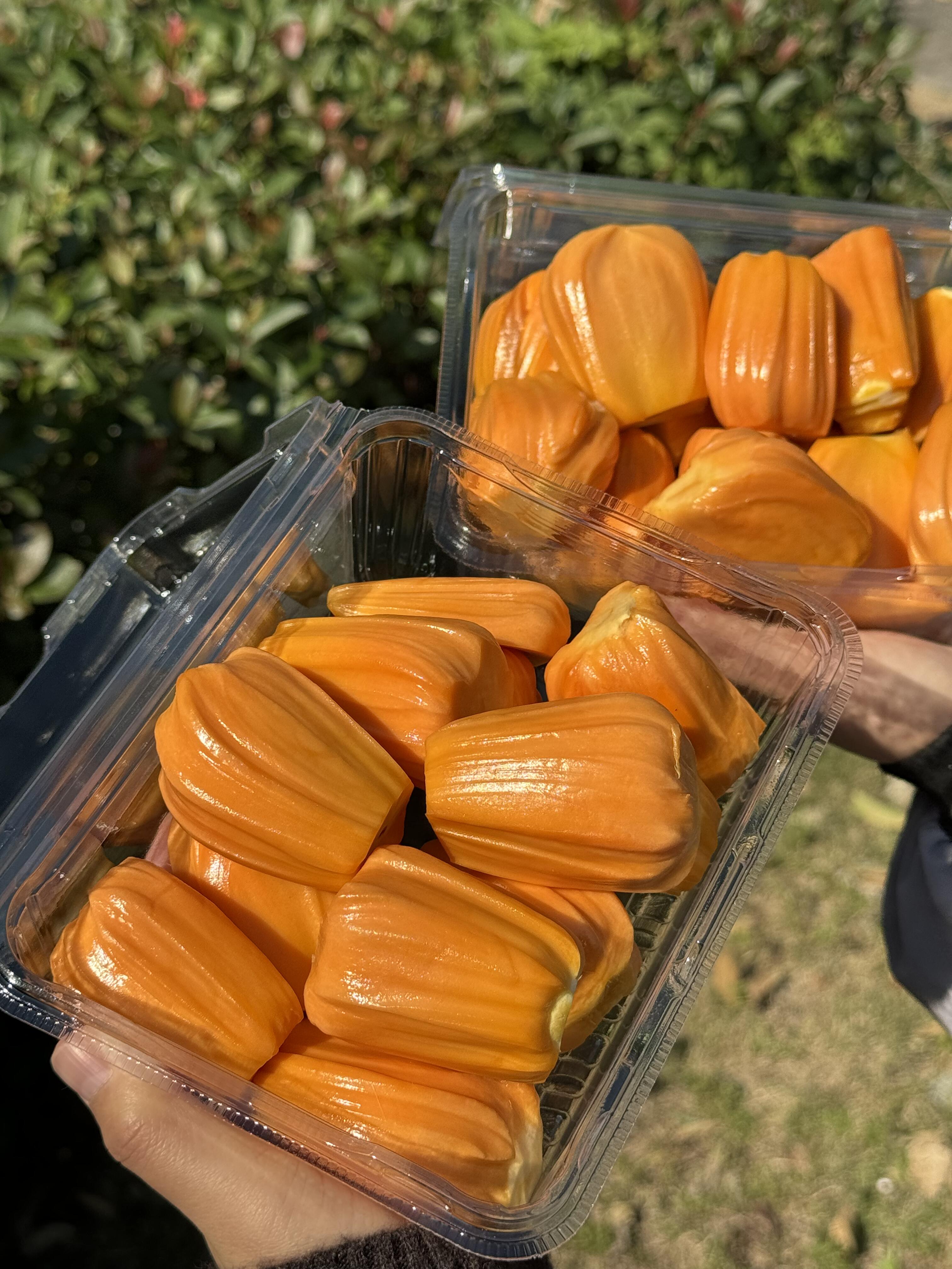 特级红肉菠萝蜜新鲜开剥咯😍！ 香甜~香甜 配图3