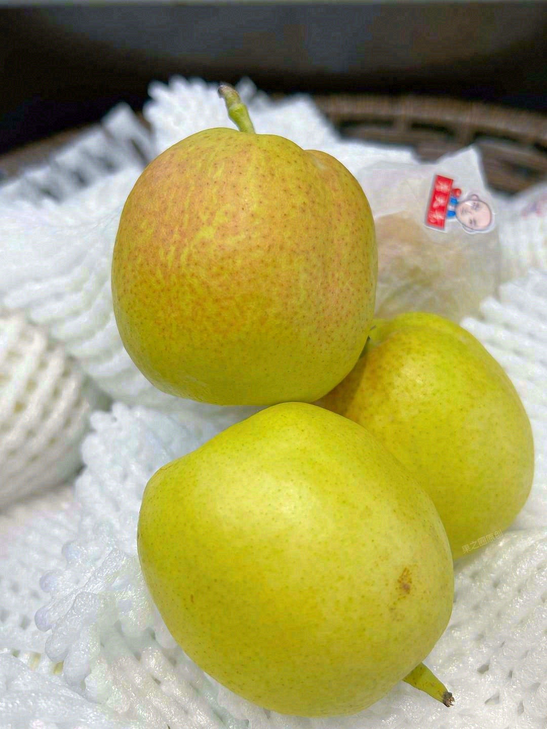 不想喝水？来个香梨🍐，瞬间解渴🌊 来自新 配图1
