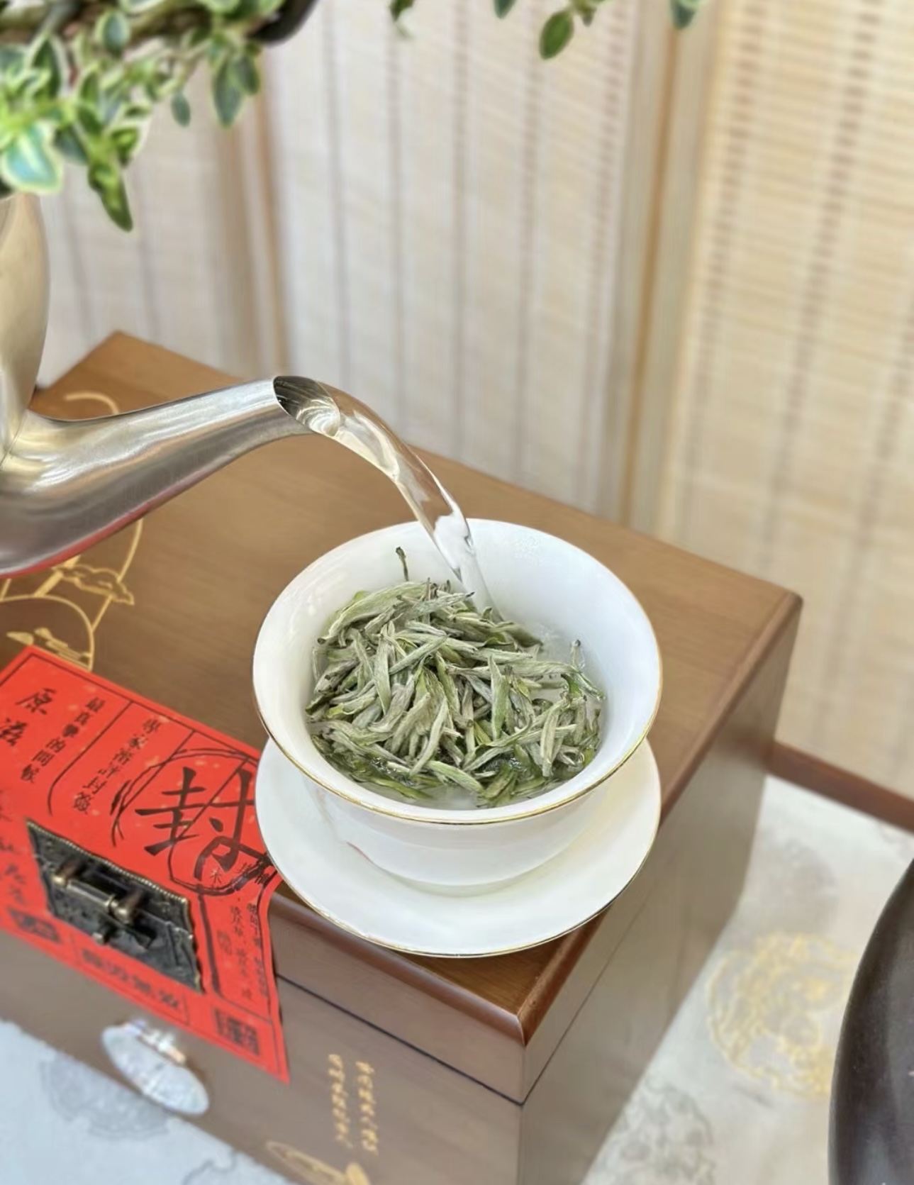 挺直如针的芽头，满披白毫，如银似雪。轻啜 配图1