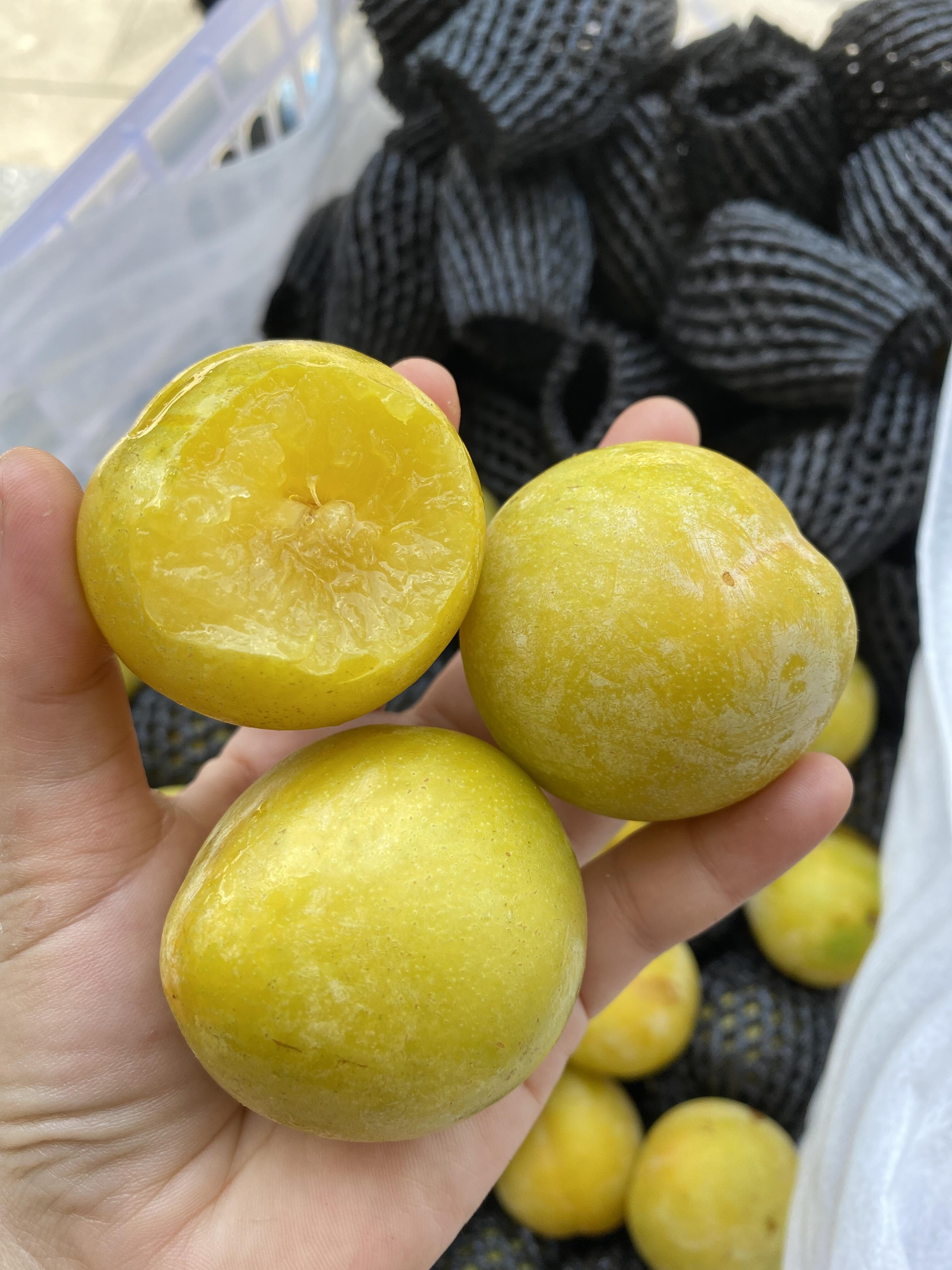 有一种李子，叫做【黄金奈李】💛 有一种清 配图3