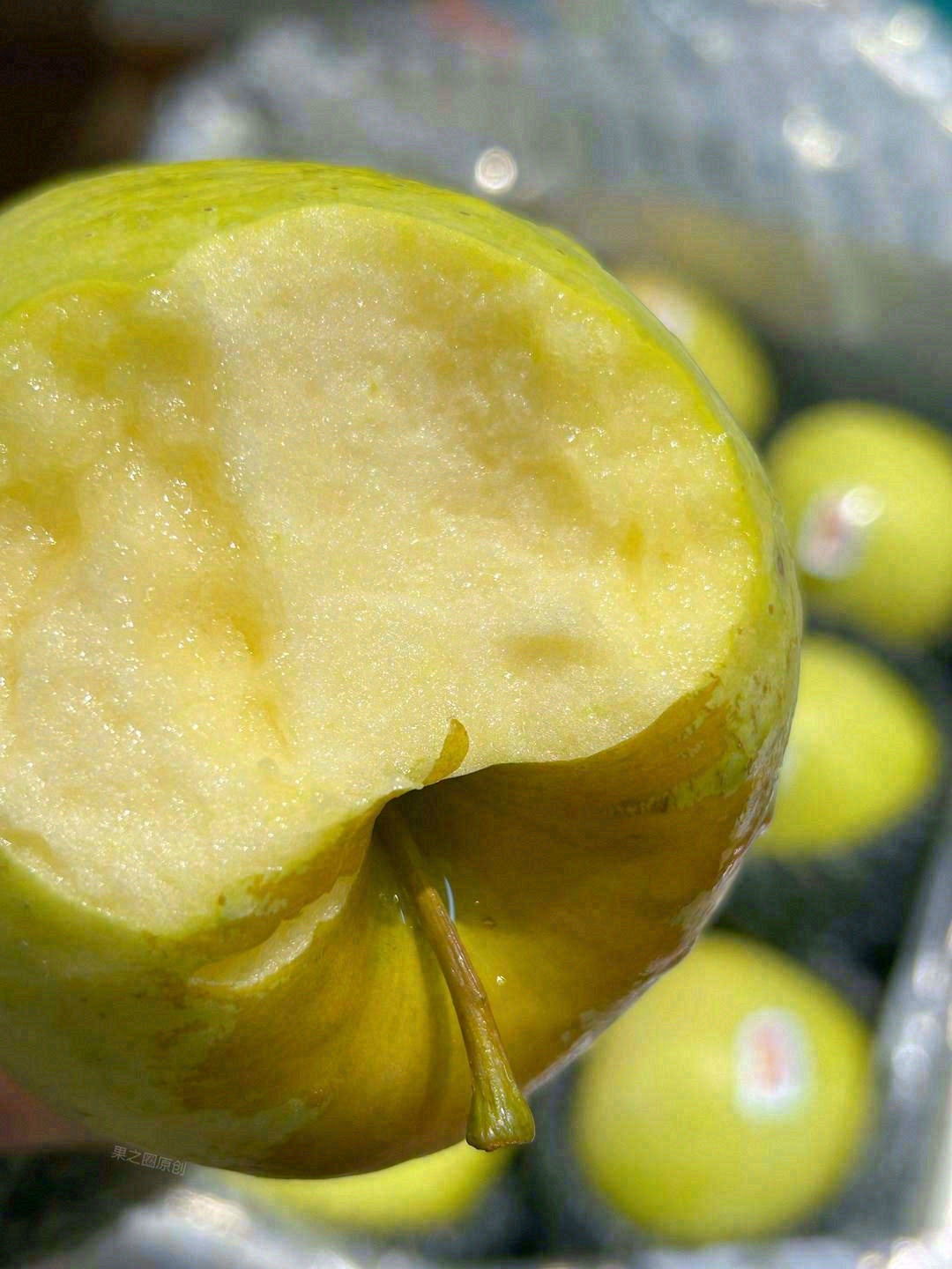 👆今年一定要吃的！稀有的“绿色美味”🍏  配图2