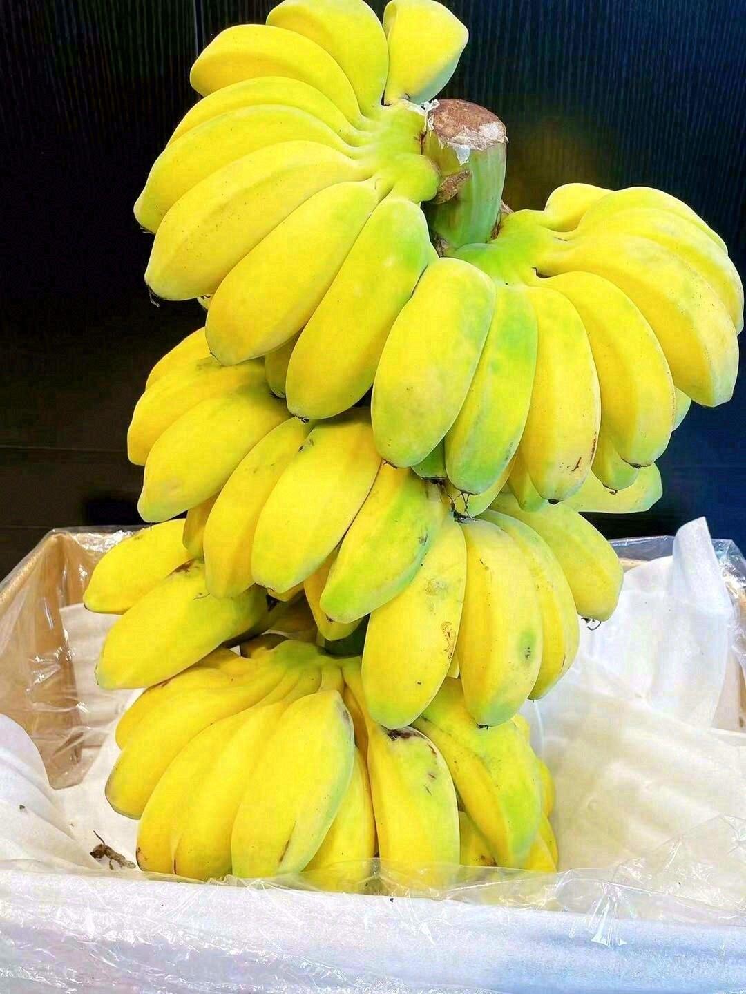 苹果蕉🎉🎉优质稀有香蕉品种，果肉淡黄色🍌 配图1