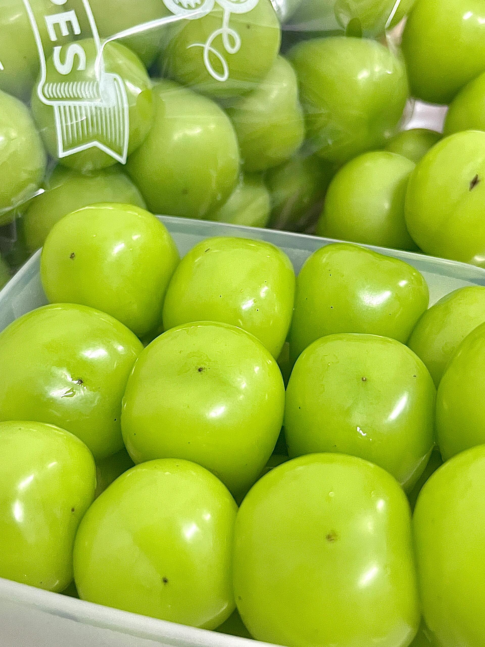 阳光明媚🍇，葡萄轻柔☀️ 天然的甜蜜拿在 配图2