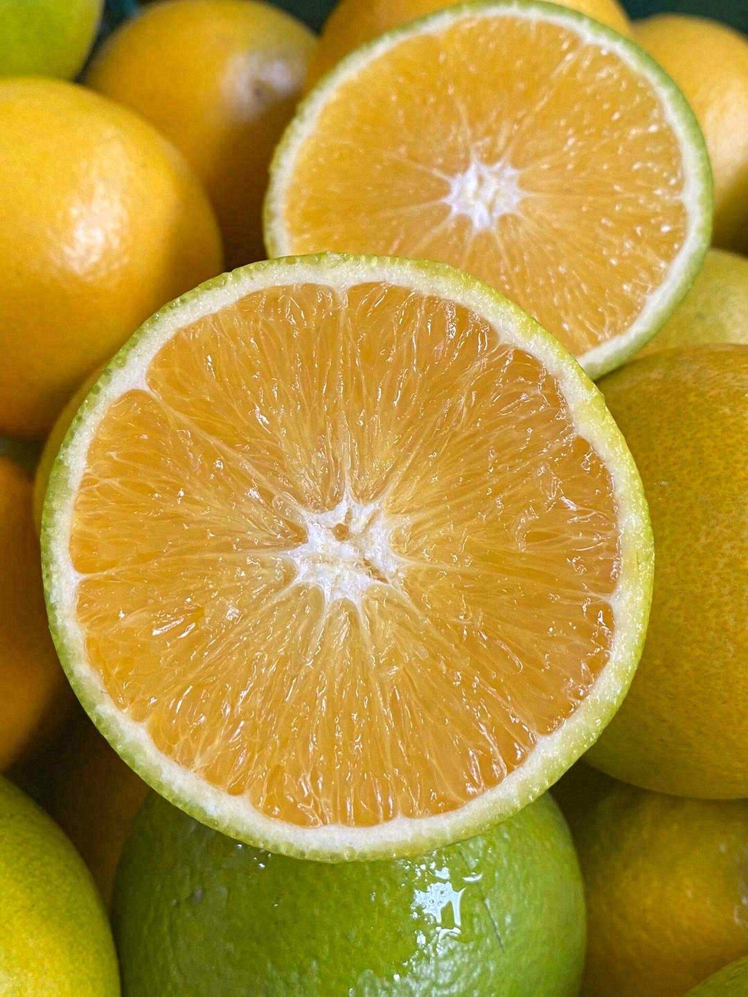 一种以甜度命名的橙子🍊 个头不大，地表最 配图2