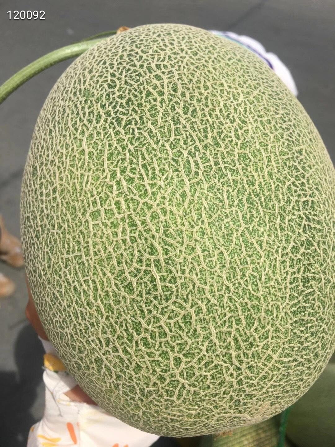 🍈海南西州蜜瓜25号，脆脆甜甜🍭 瓜瓤上 配图3