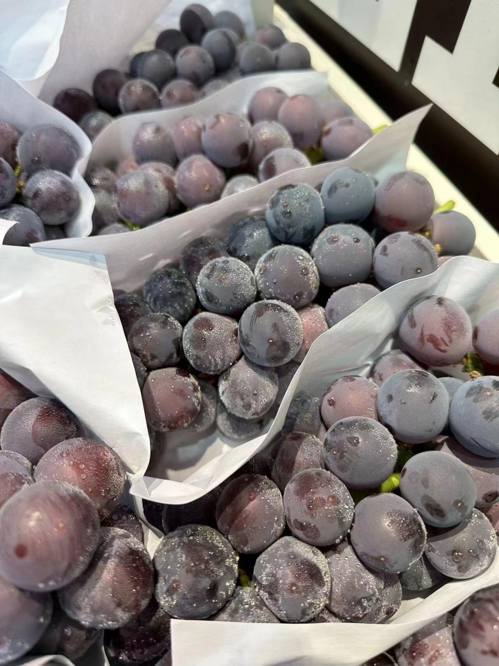 🍭当季热卖👉 巨峰葡萄🍇一口一颗独有的清 配图3
