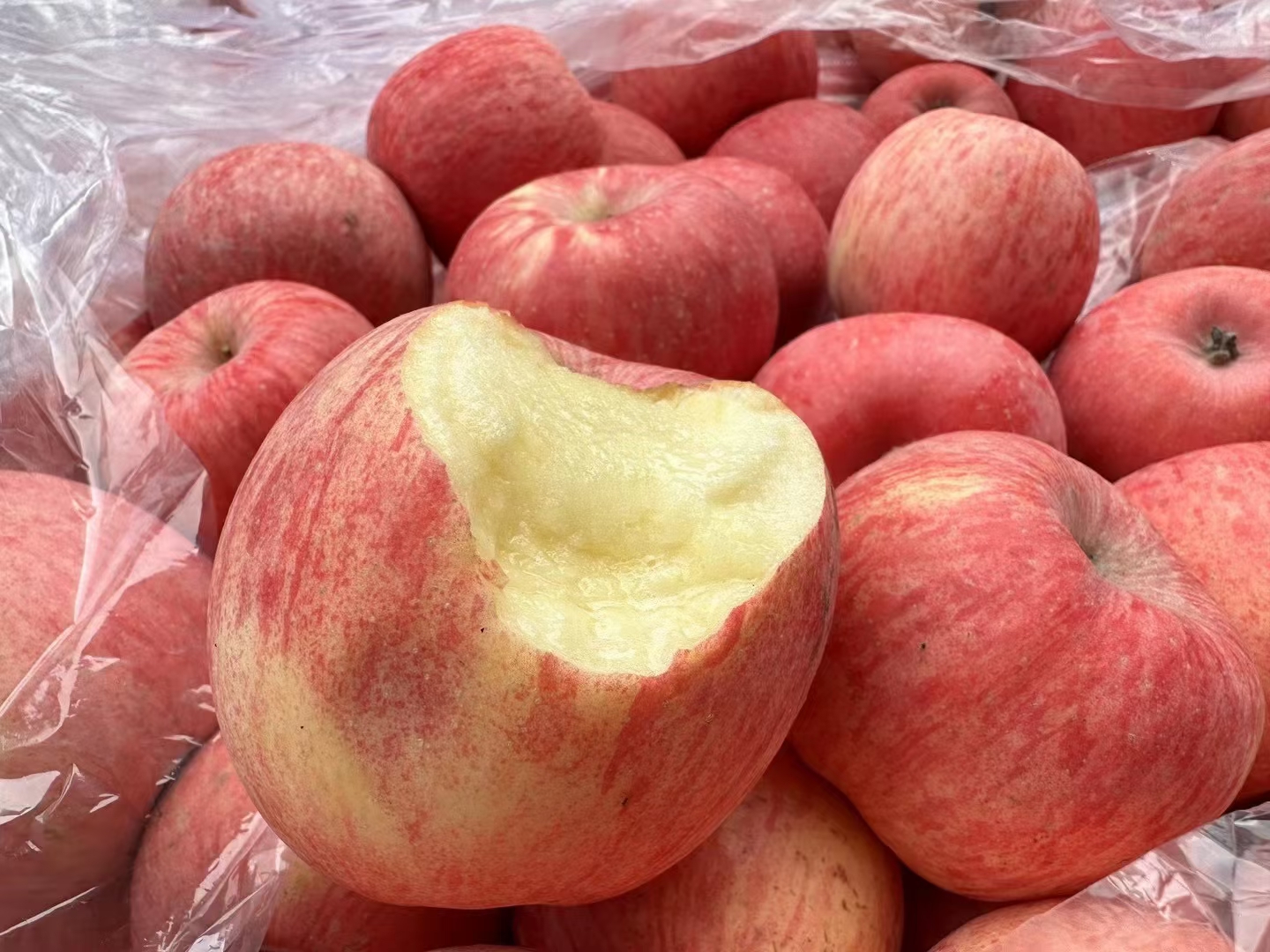 苹果控看过来👀👀 每天☝️🍎#洛川红富士 配图1