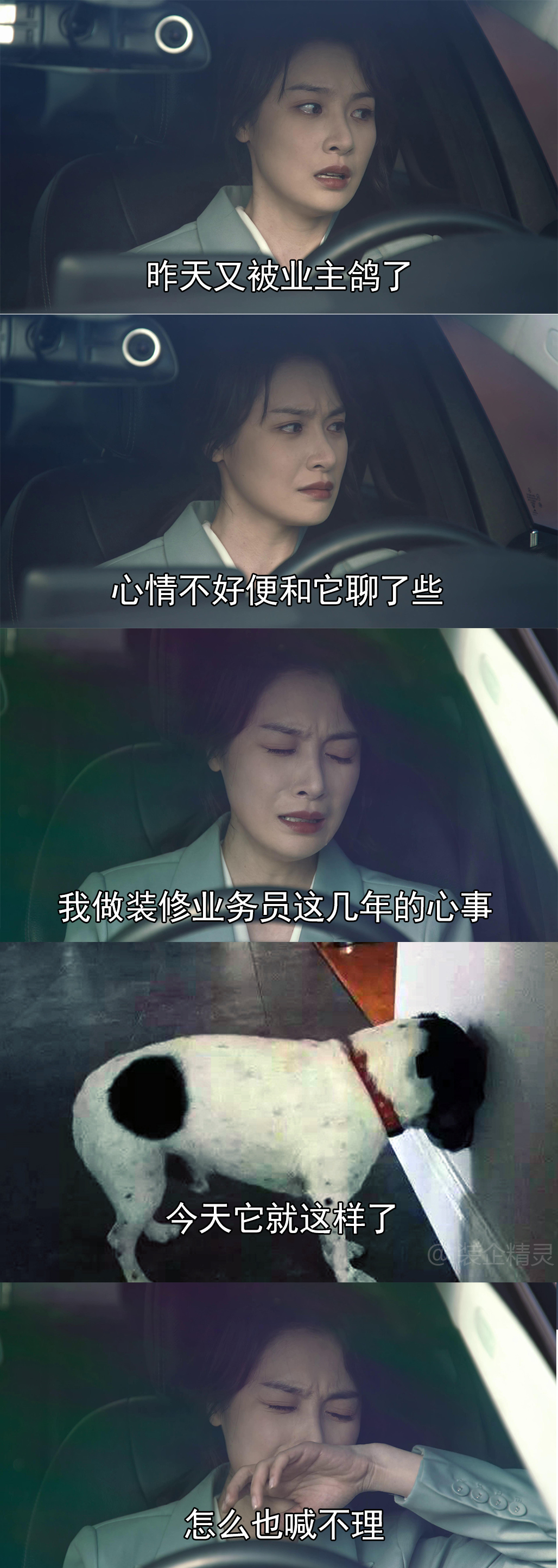 昨天又被业主鸽了 心情不好便和它聊了些 