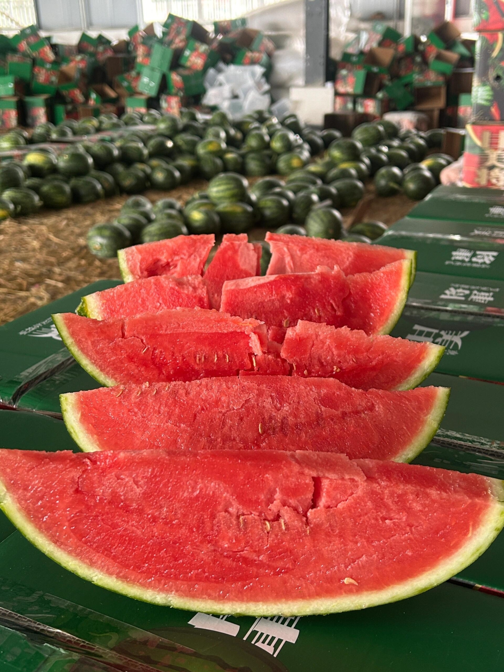 无论吃西瓜🍉还是会觉得甘美4k更出色～  配图3