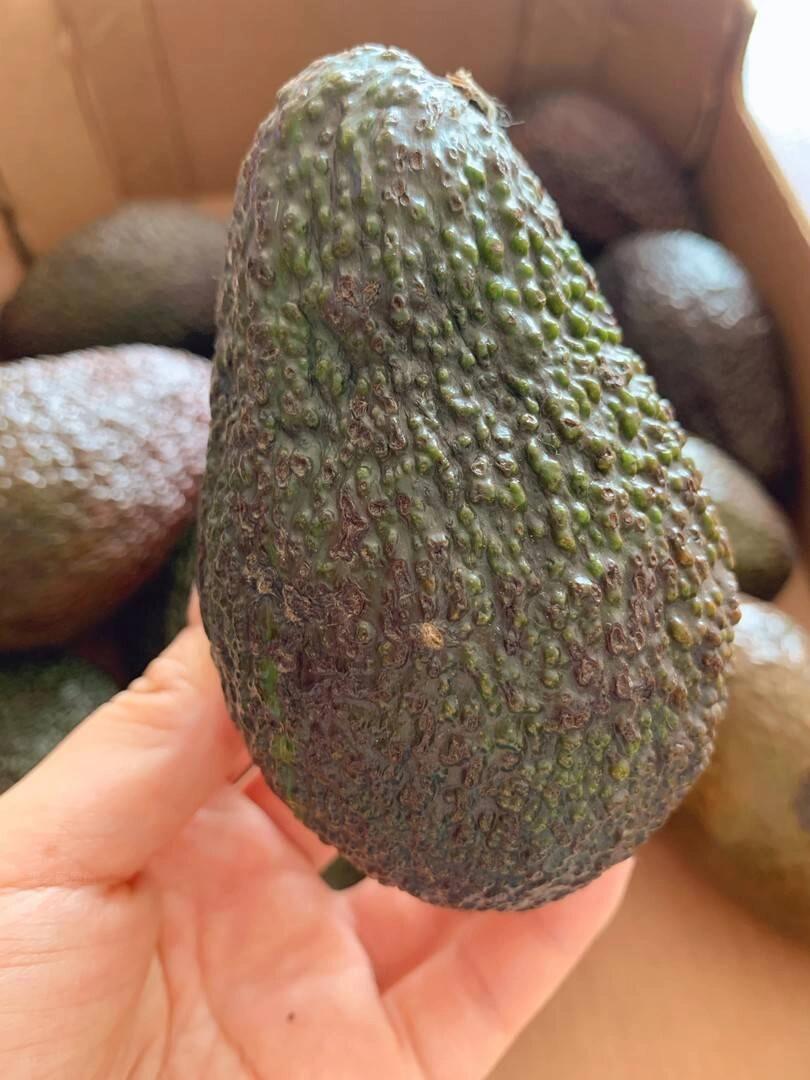 牛油果🥑欲罢不能的爱😘每日一颗牛油果🥑你 配图2