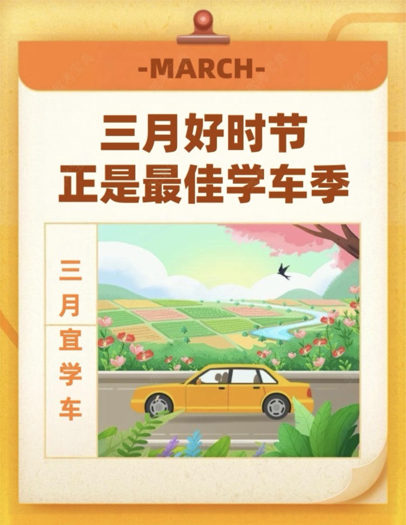 🌱学车好时节，报名不等待 🚗春日练车爽，