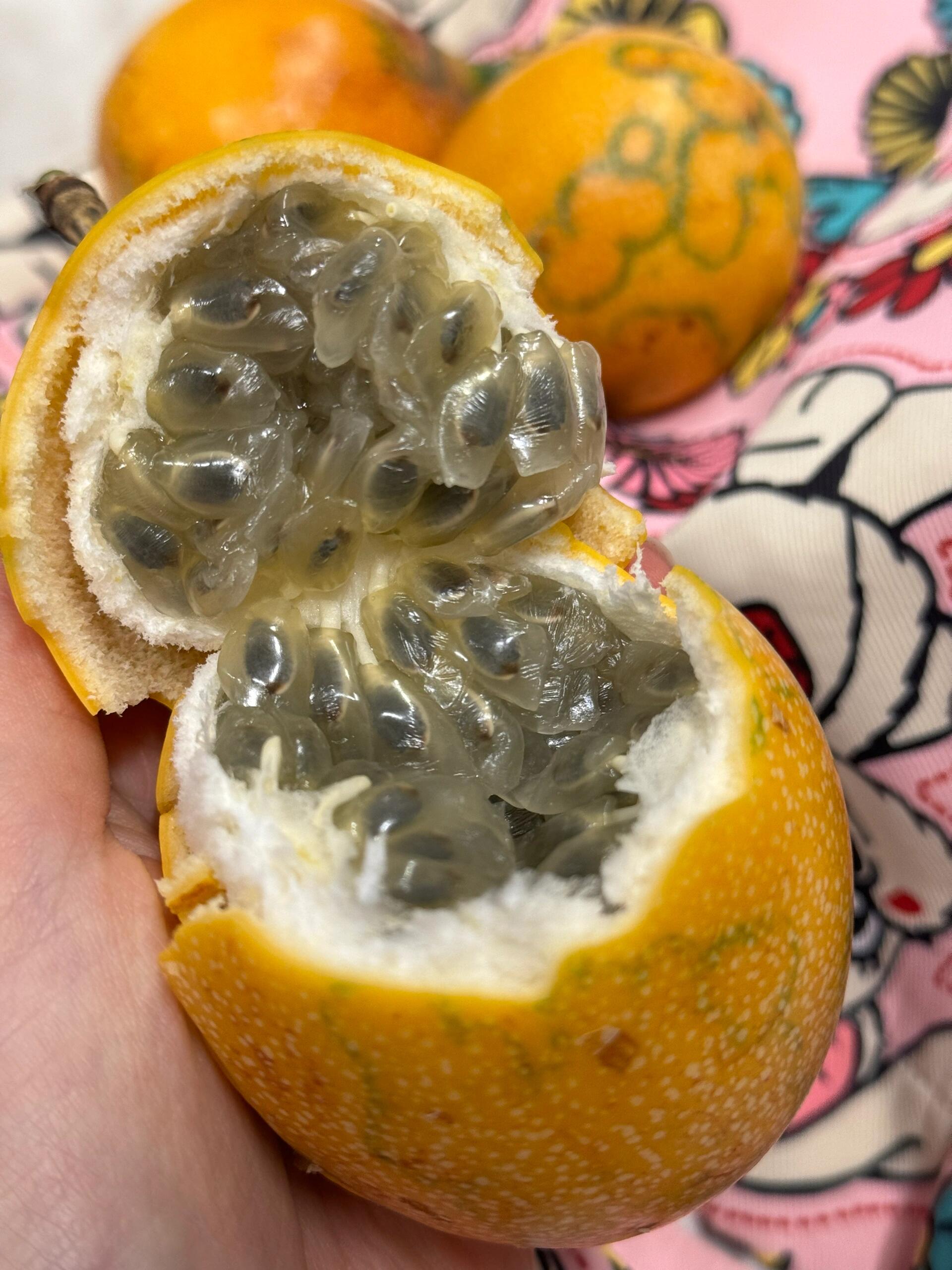 ✨果肉像捧着一把爆珠糖🍭，全部放进嘴里💦 配图3