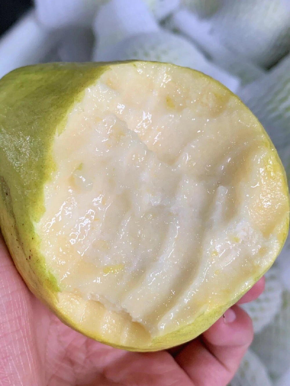 🌟黄金奶油芭乐✅回归放到微软的程度 撩人 配图1