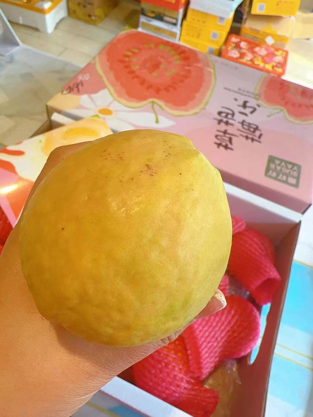 🌈草莓红芯芭乐 那真叫一个满屋飘香呀❣️ 配图1