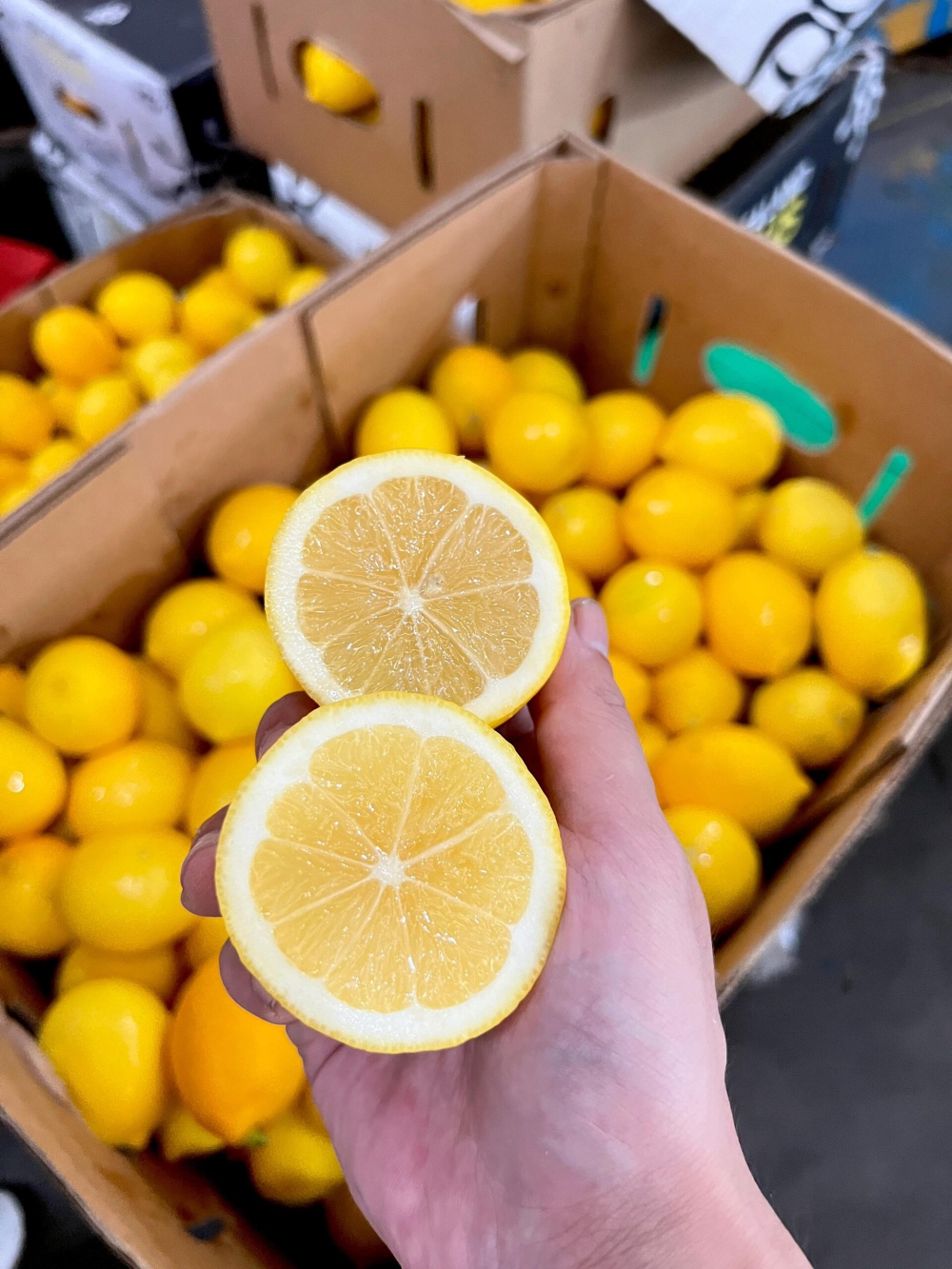 夏季泡水，自制饮品🥤新西兰🇳🇿香水柠檬🍋 配图1