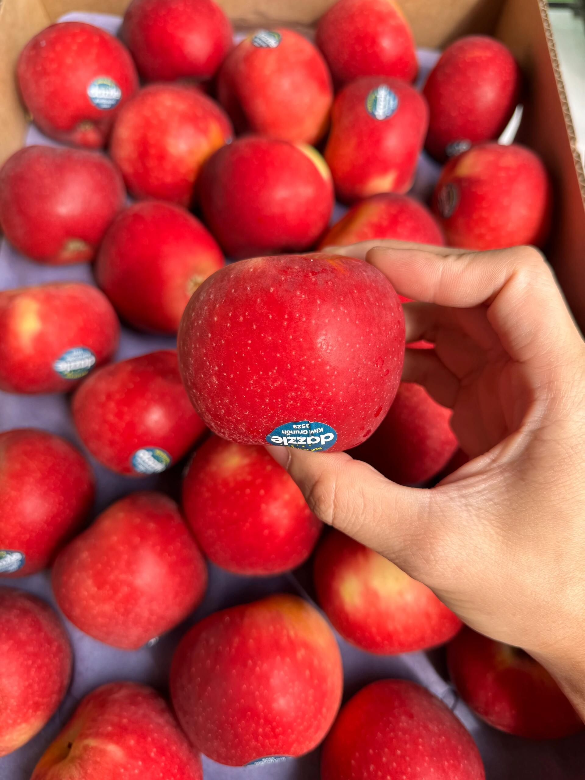 新西兰🇳🇿红玫瑰苹果🍎应季的新鲜||新西 配图2