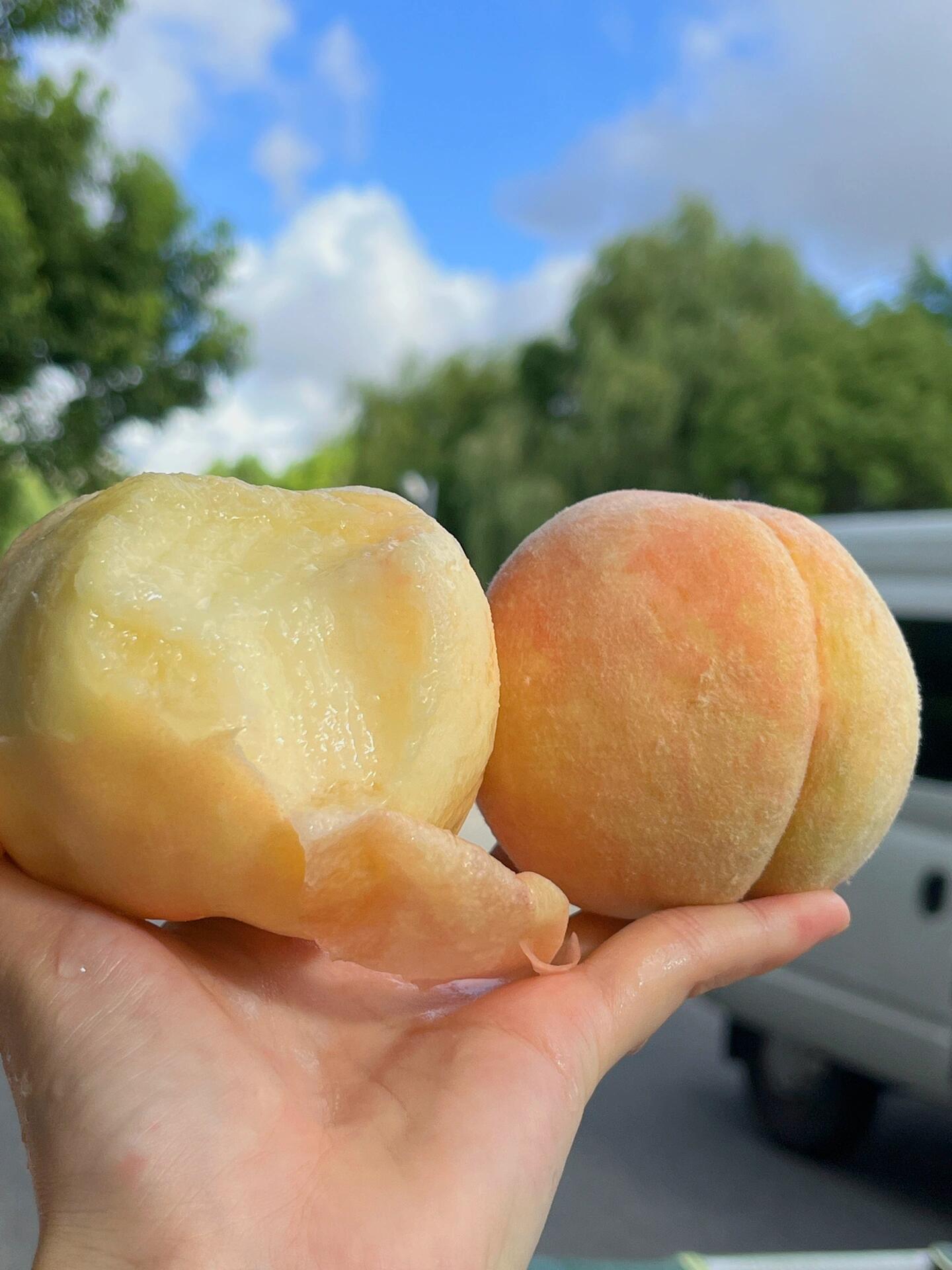 🍑万众期待，满口香甜的水蜜桃来啦！ 🍑真 配图1