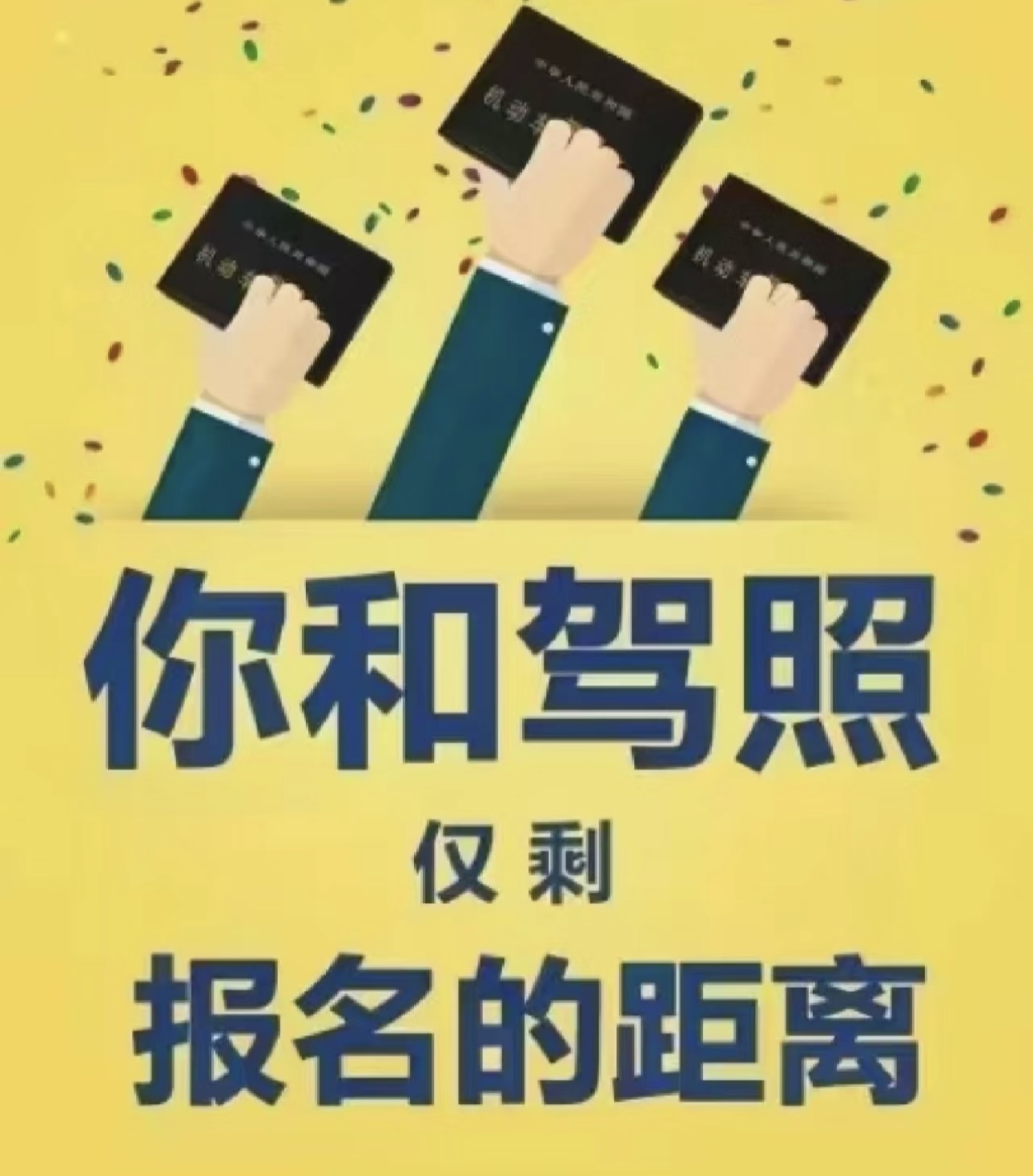 他们个个都叫我不要考驾照，但是他们个个都