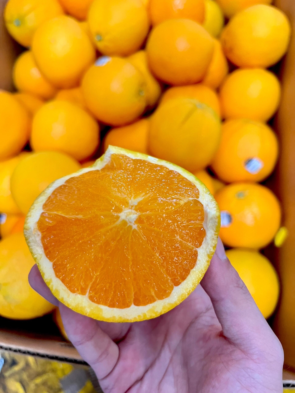 美国🇺🇸3107黑标脐橙🍊 🇺🇸大果肉厚 配图1