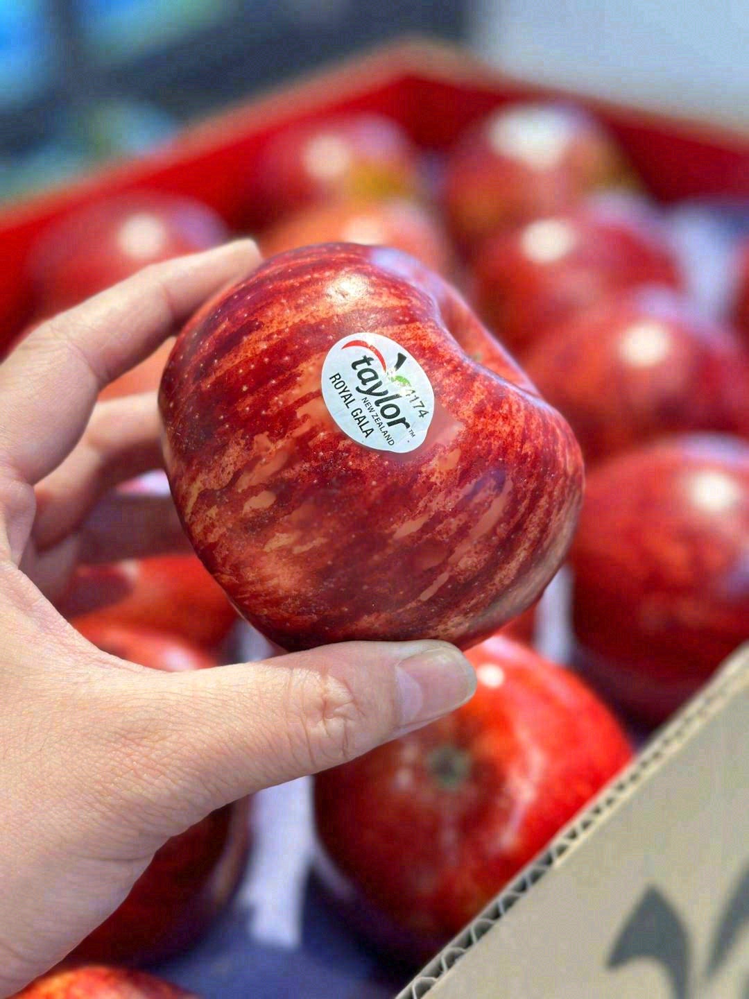 泰勒牌新西兰加力果 🍎 肉质细嫩 ，水分 配图1