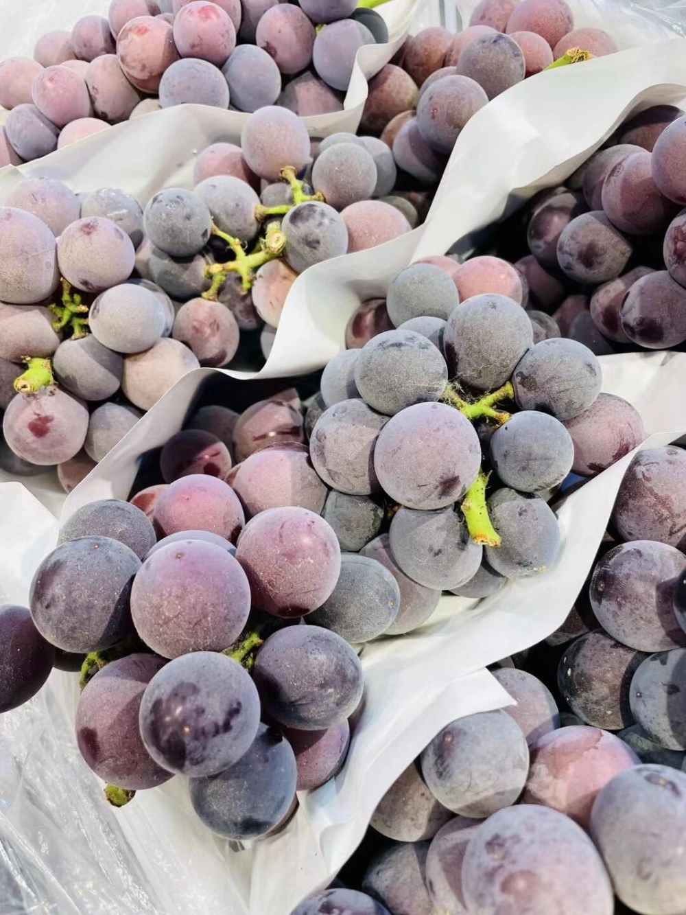 🥰大家有爱吃葡萄的嘛？这个巨峰葡萄🍇也太 配图3