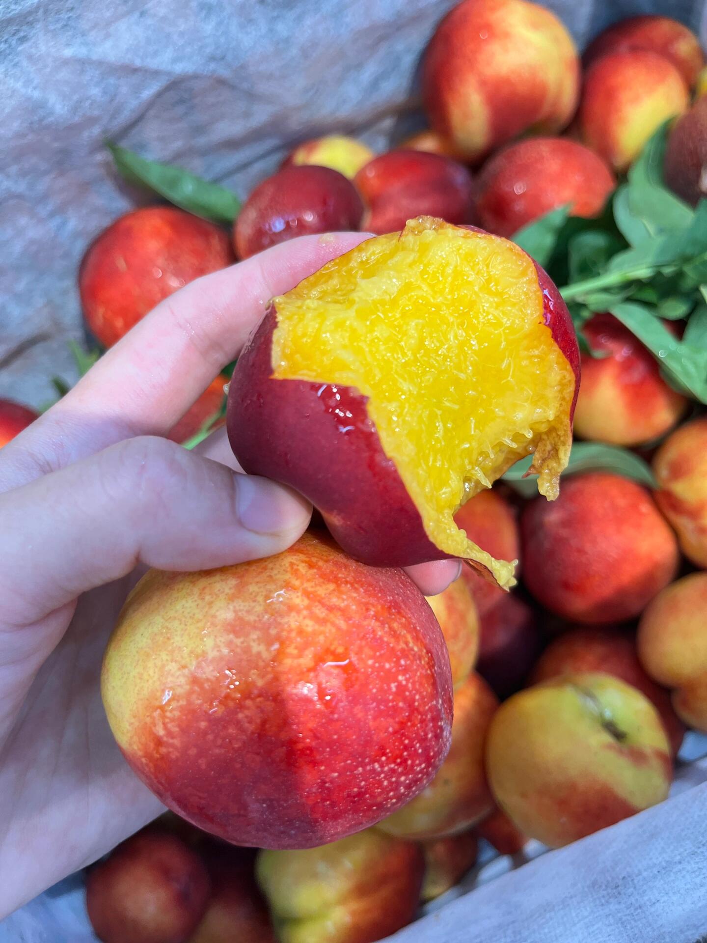 🥰红油桃最新到货‼️ 🍑光滑无毛，吃起来 配图1