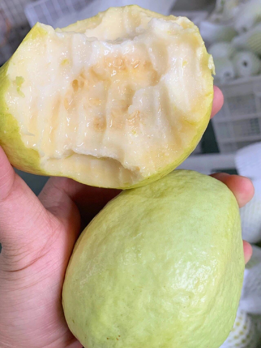 🌟黄金奶油芭乐✅回归放到微软的程度 撩人 配图2