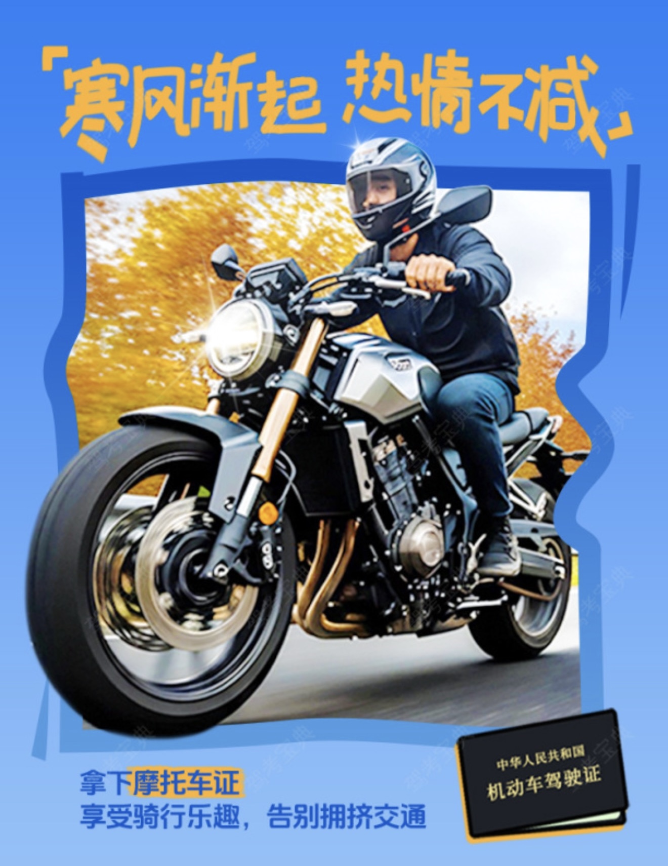 ❄寒风渐起凉意浓 🔥学车热情依旧涌 🚴🏿