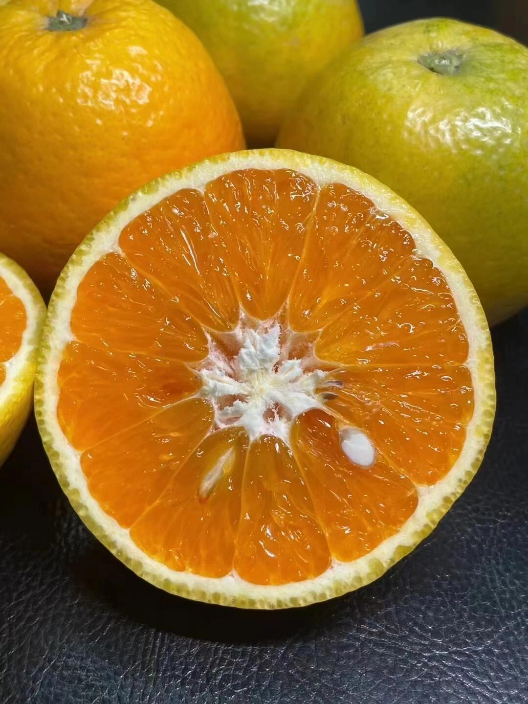 ‼️夏橙🚗💭夏天🍃特别的存在——夏橙🍊应 配图1